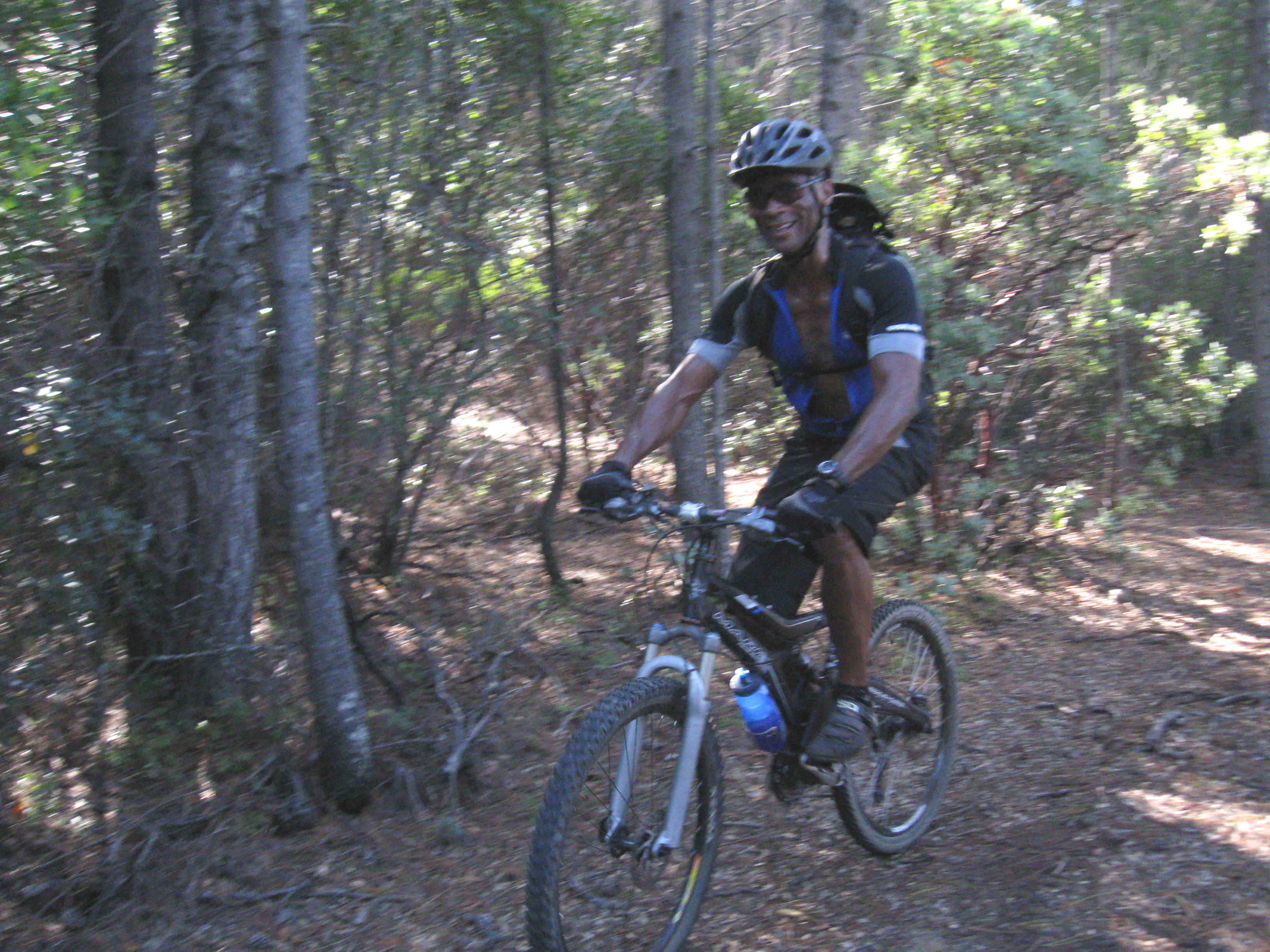 Beeline028.jpg (4962253 bytes)