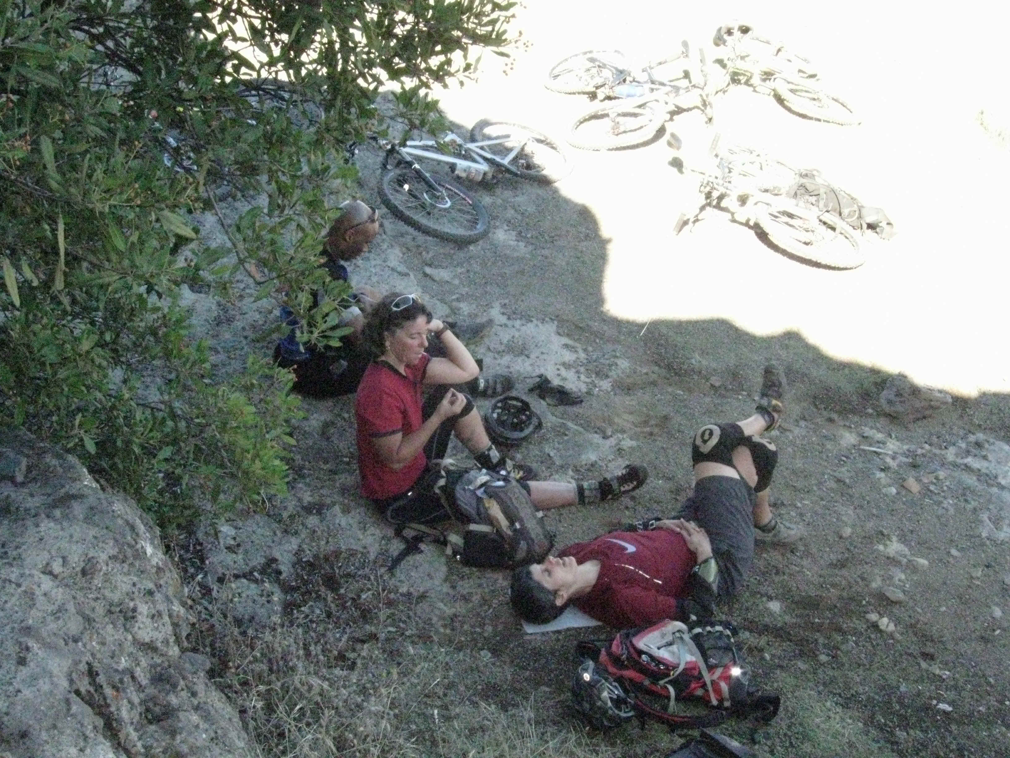 Beeline030.jpg (4556060 bytes)