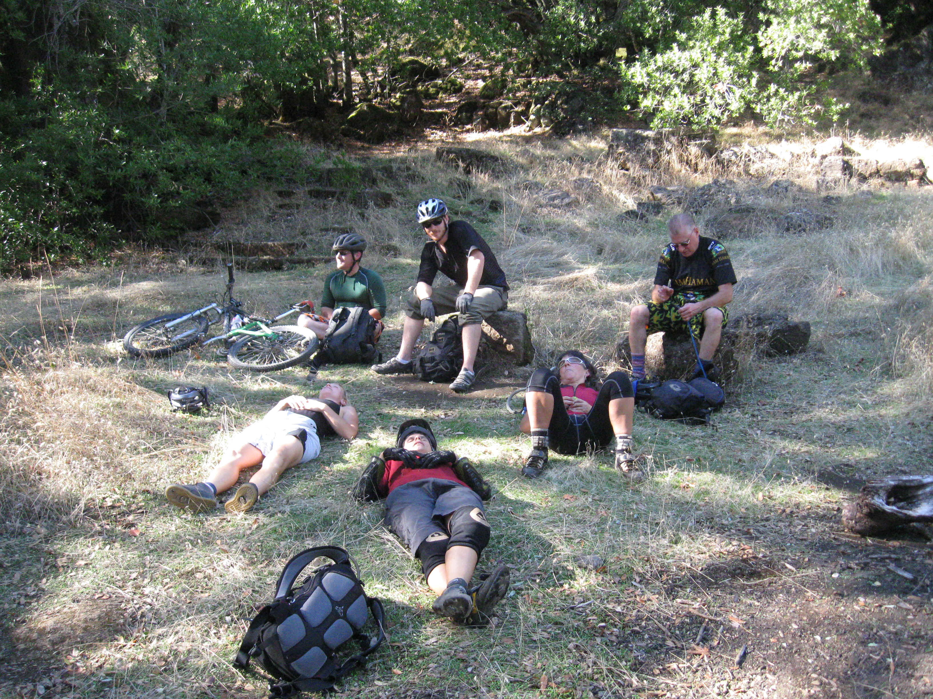 Beeline032.jpg (6336373 bytes)