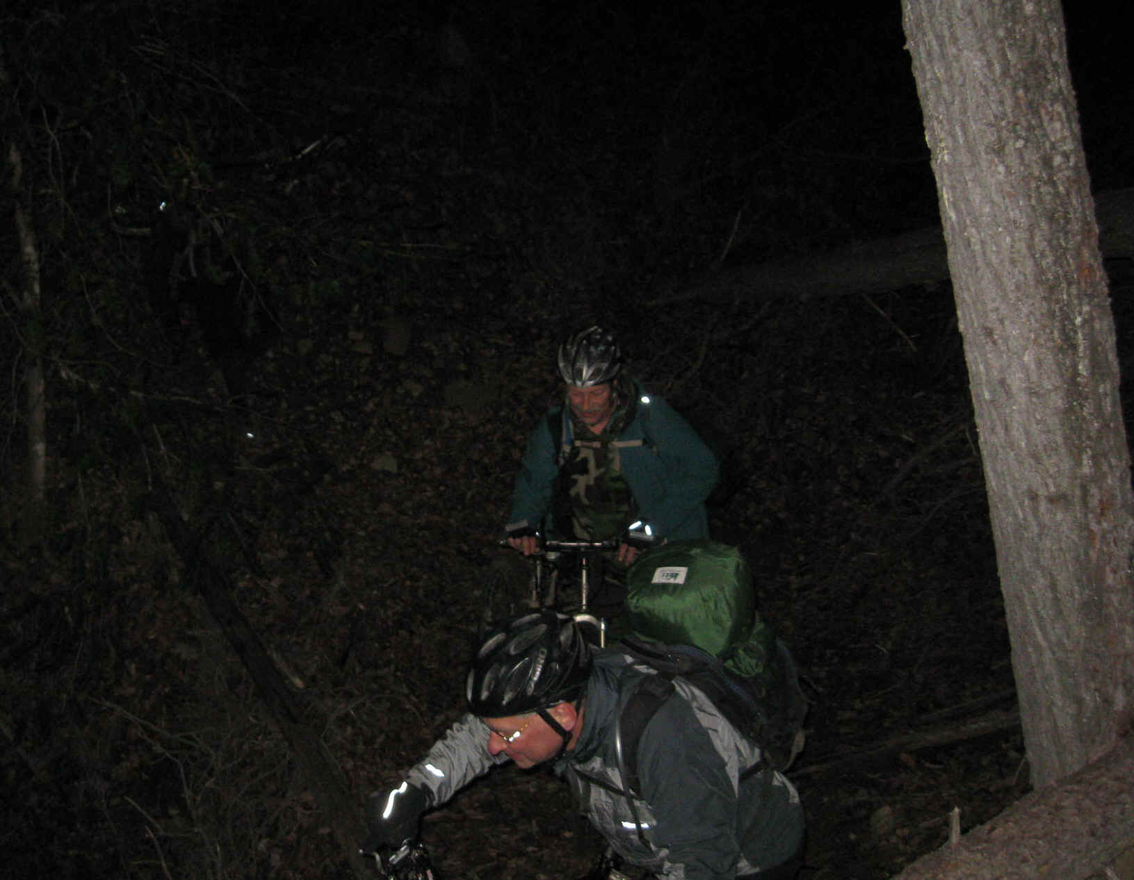 Boggette009.jpg (290644 bytes)