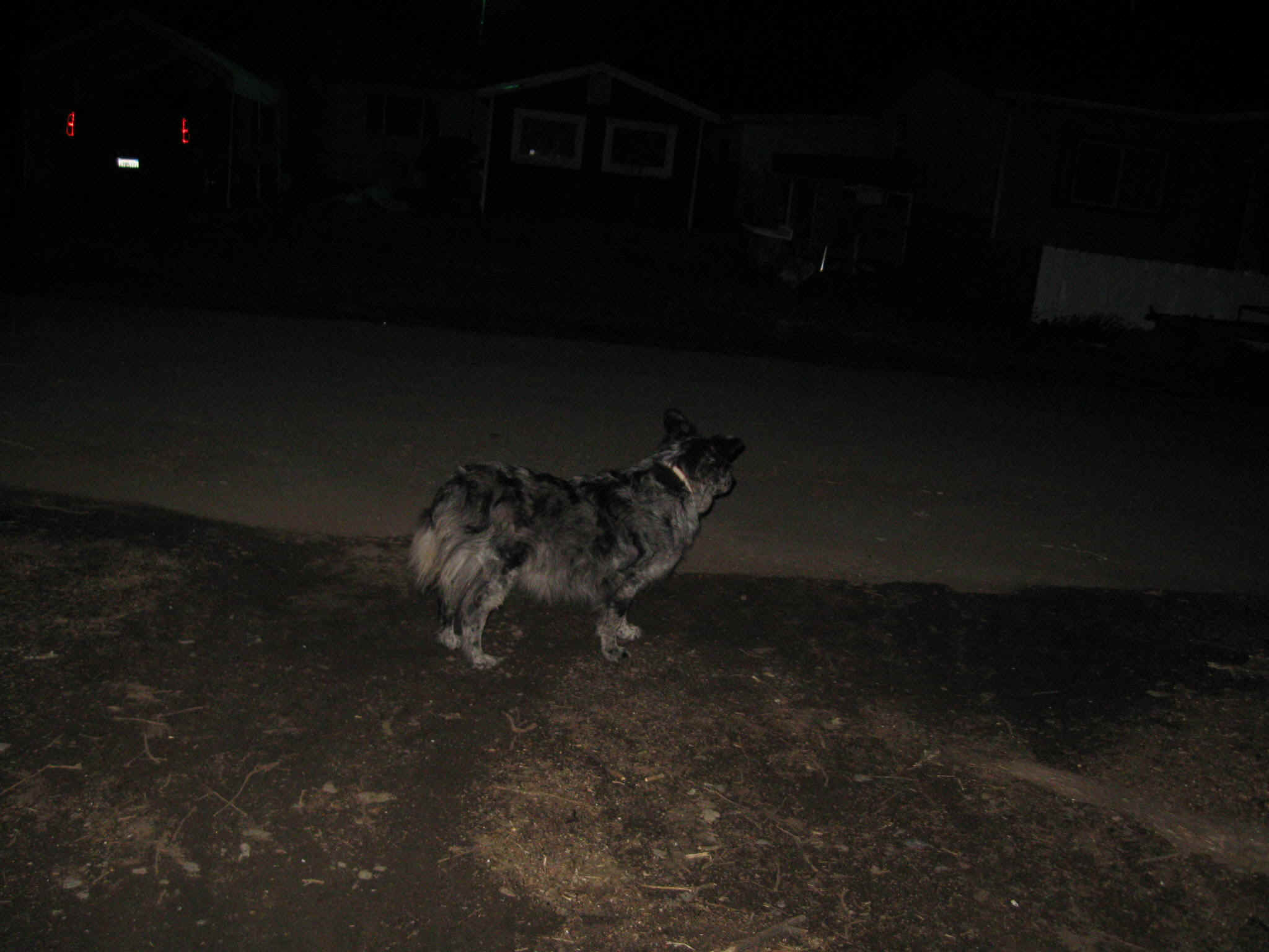 Boggette014.jpg (289138 bytes)