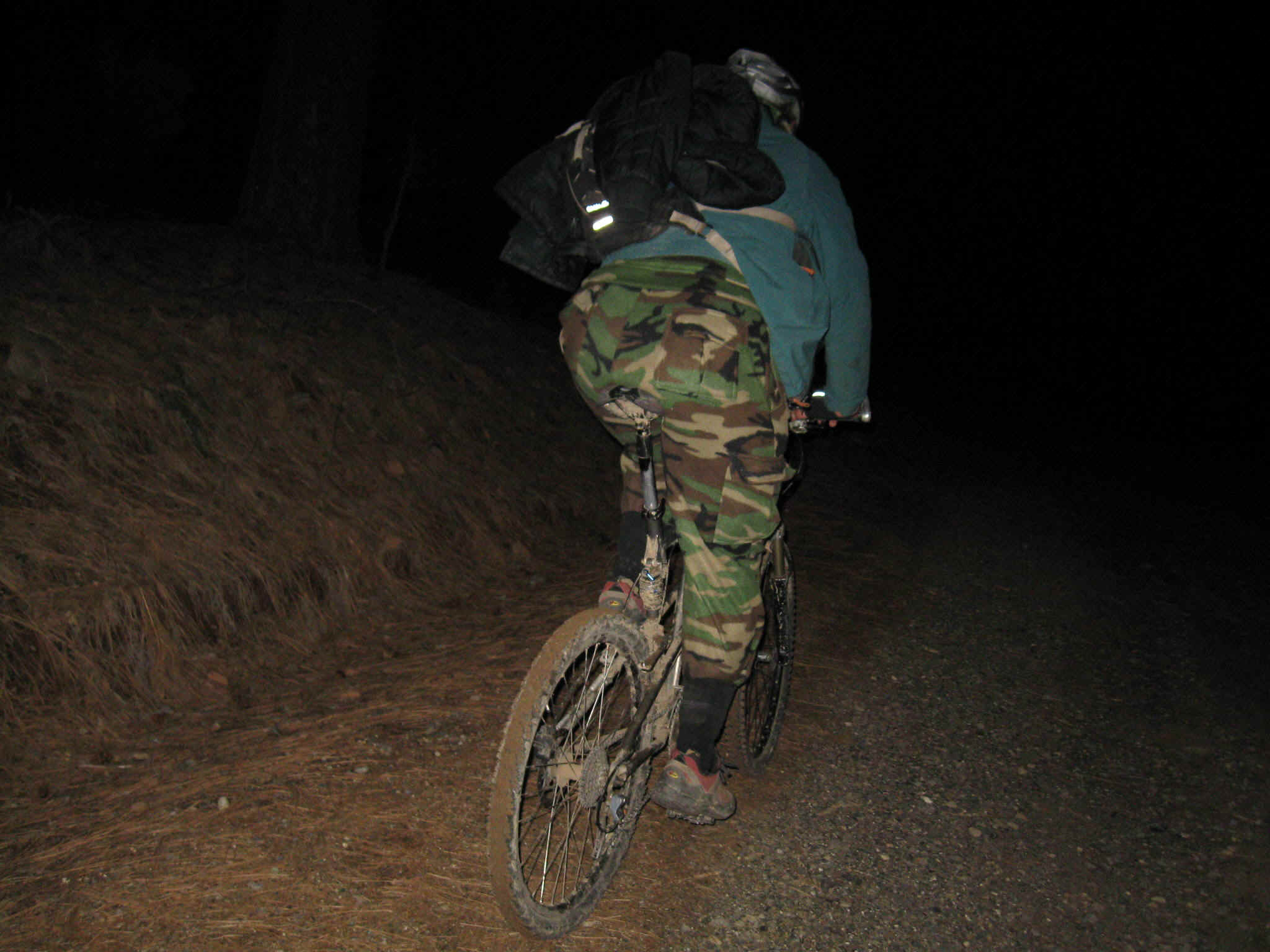 Boggette023.jpg (347443 bytes)