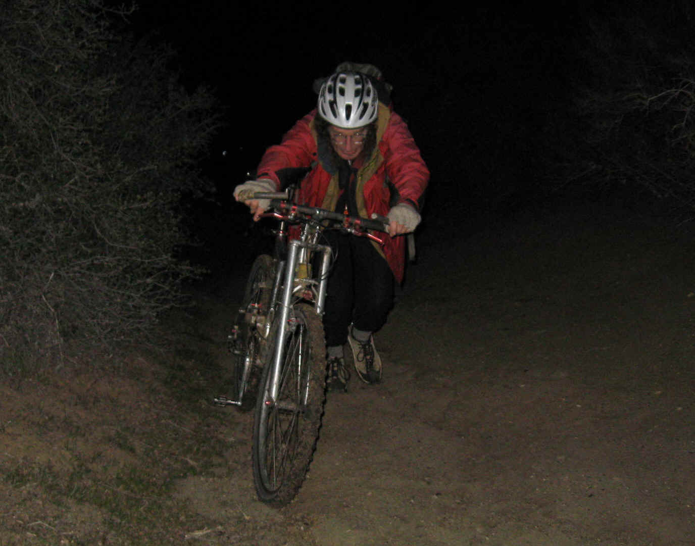 Boggette028.jpg (376160 bytes)