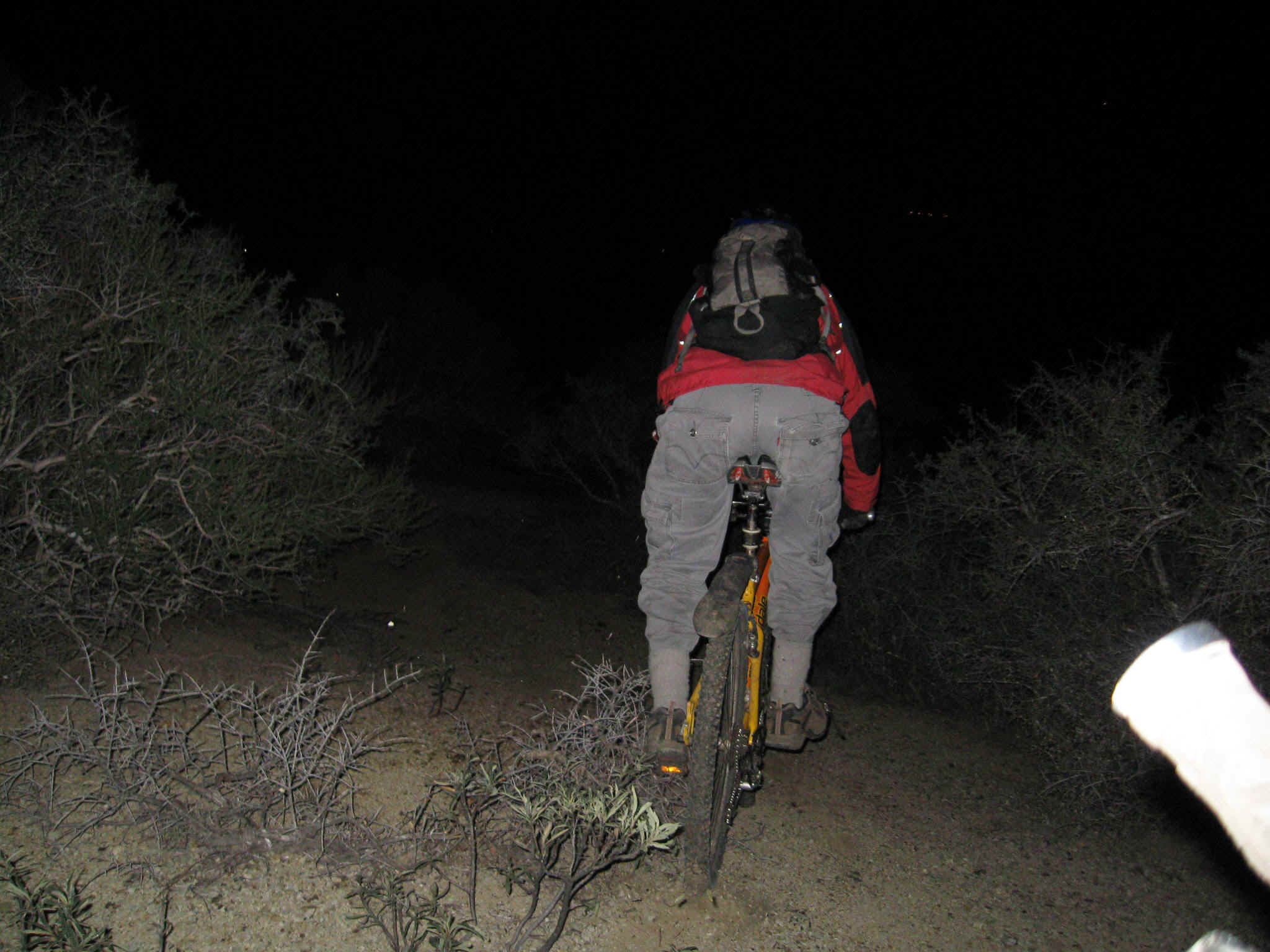 Boggette032.jpg (376531 bytes)