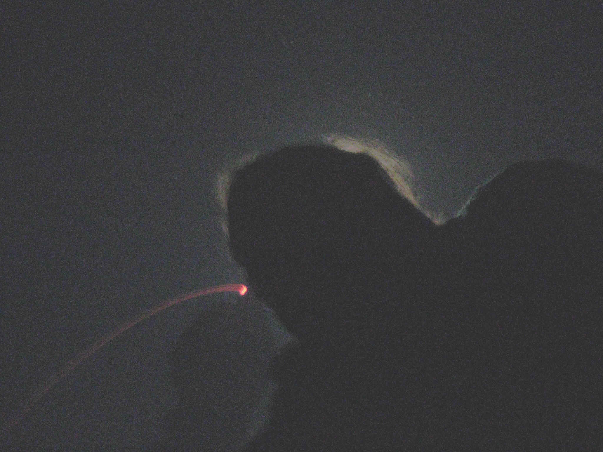 Boggette040.jpg (418432 bytes)