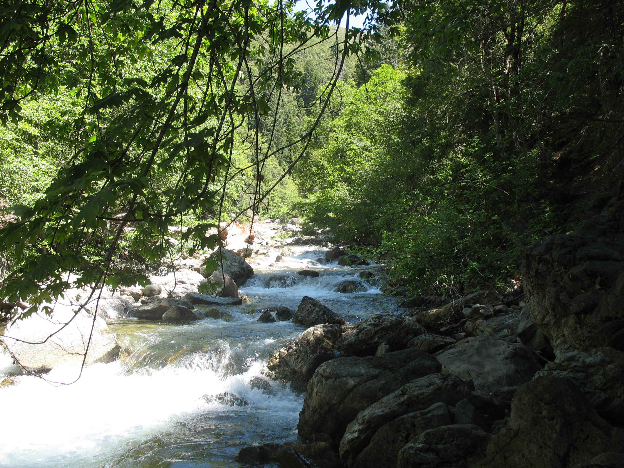 CB Stream.jpg (1105591 bytes)