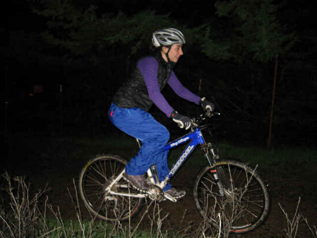 DE041.bmp (921654 bytes)