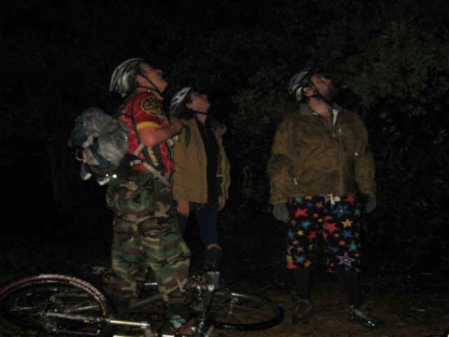 DE042.bmp (921654 bytes)