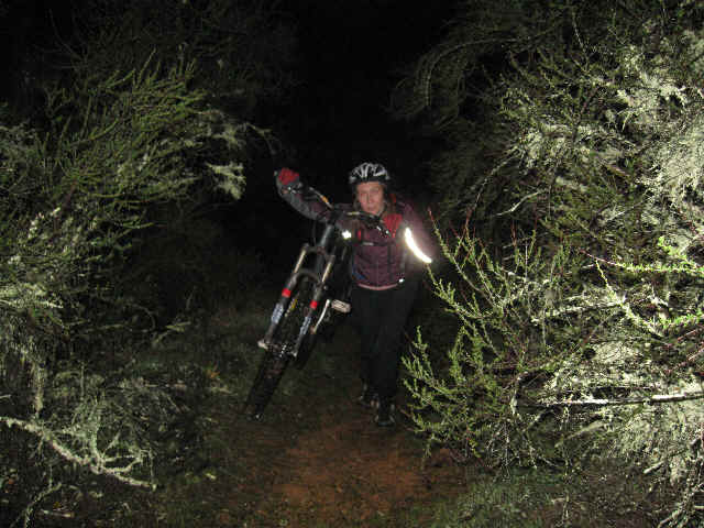 DE043.bmp (921654 bytes)