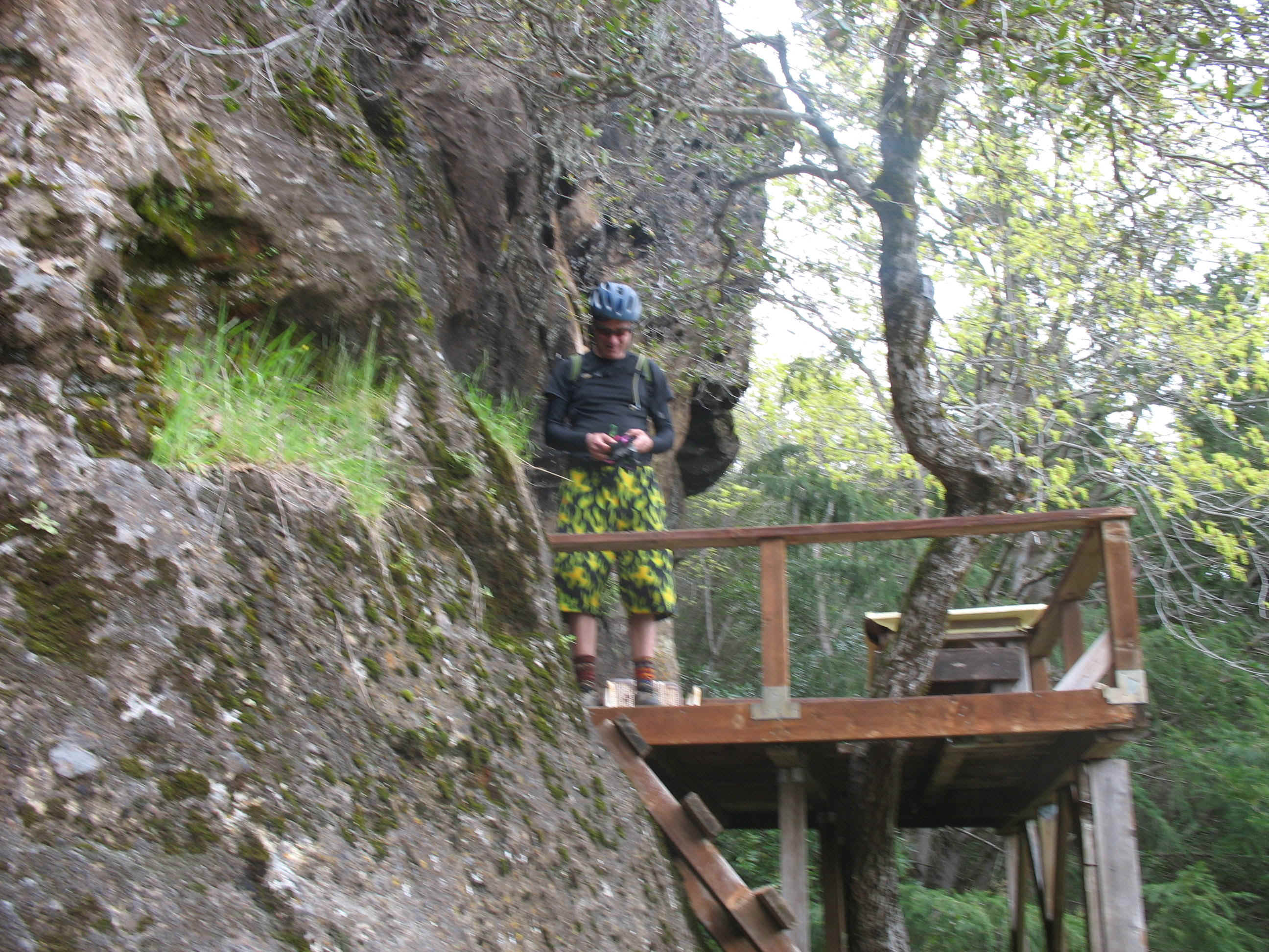 Deck cave.jpg (971311 bytes)