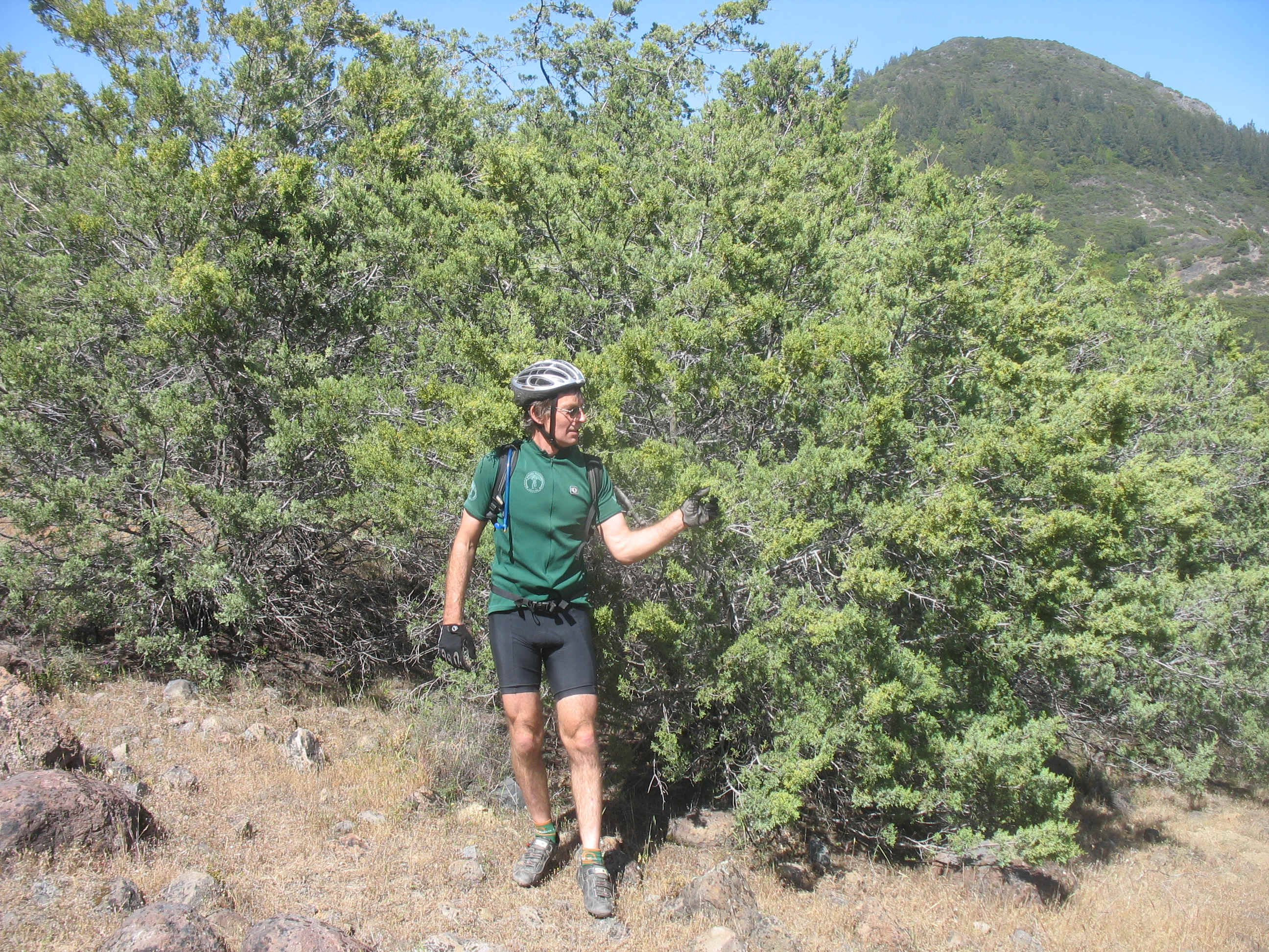 Deep Issue Massage 014.jpg (2940112 bytes)