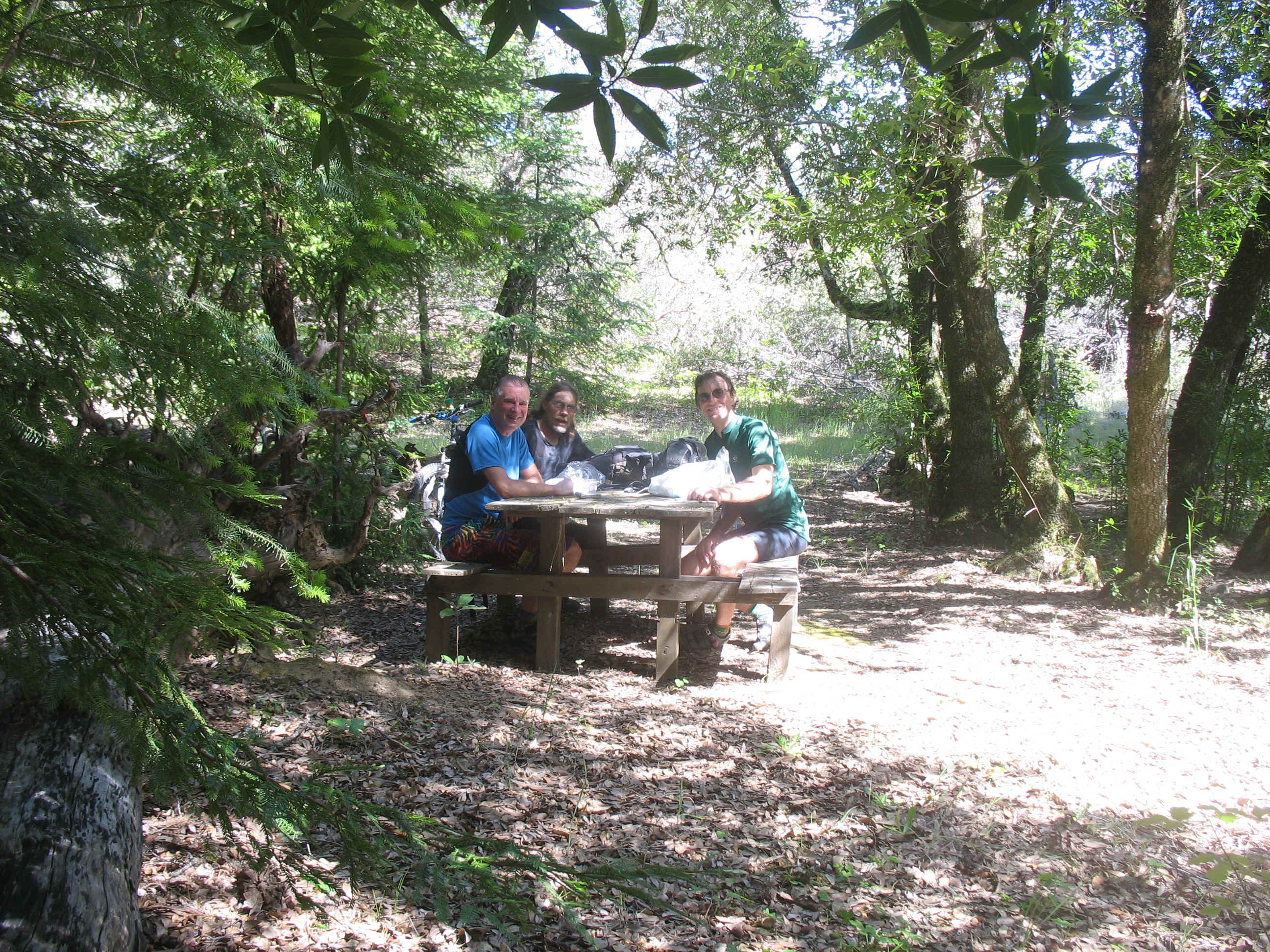 Deep Issue Massage 015.jpg (2654096 bytes)