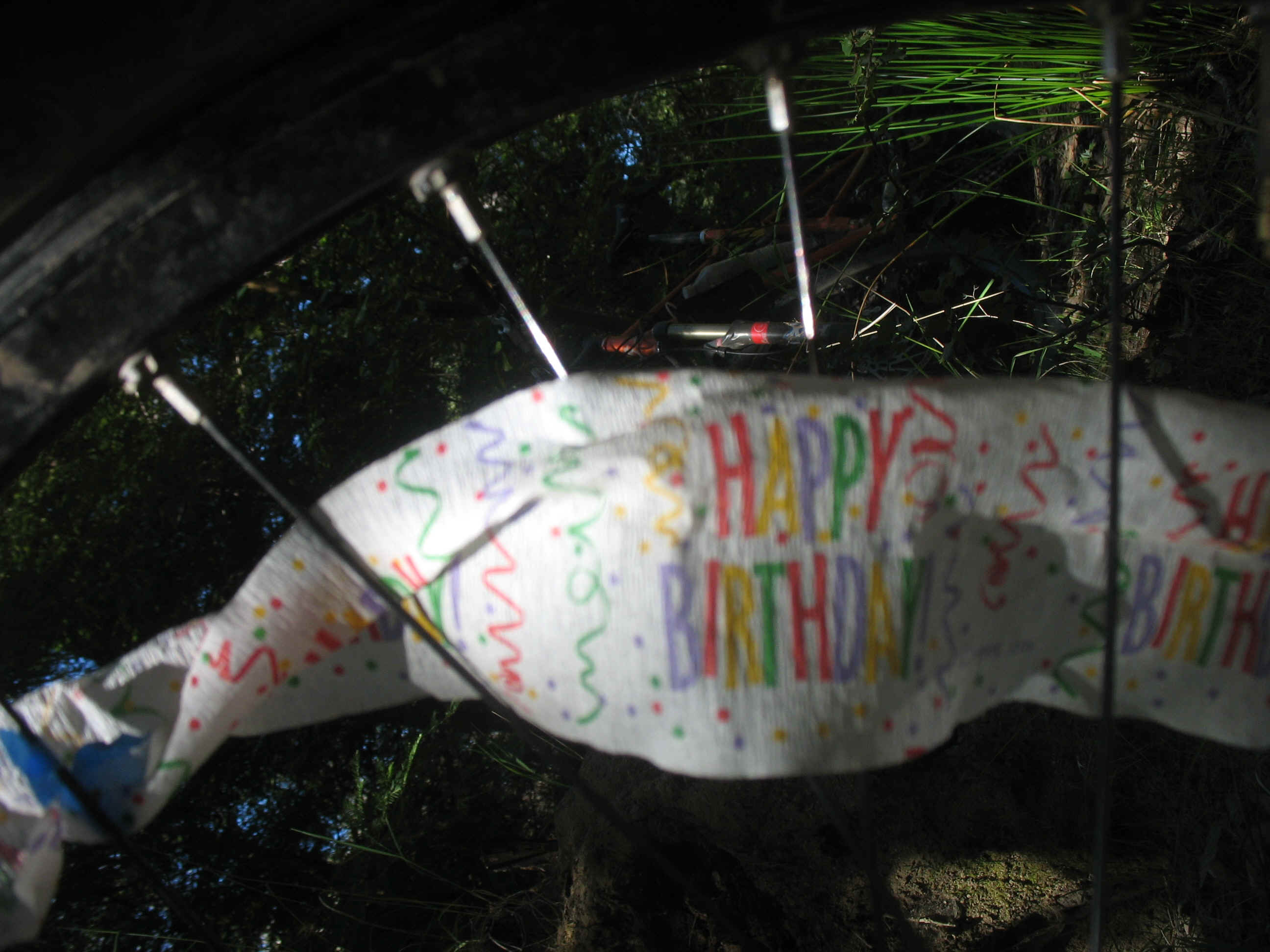 Deep Issue Massage 018.jpg (1060996 bytes)