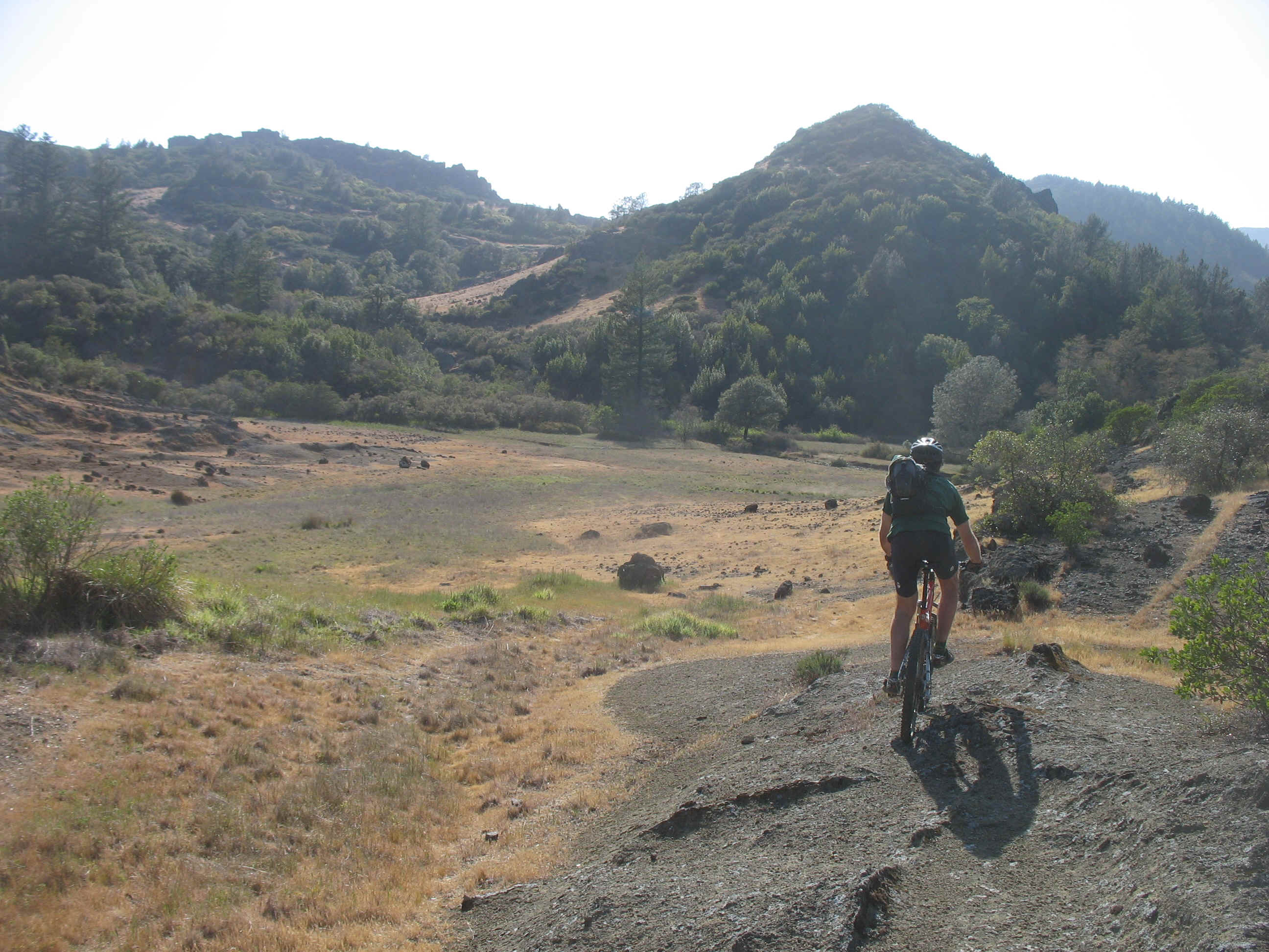 Deep Issue Massage 027.jpg (1630831 bytes)