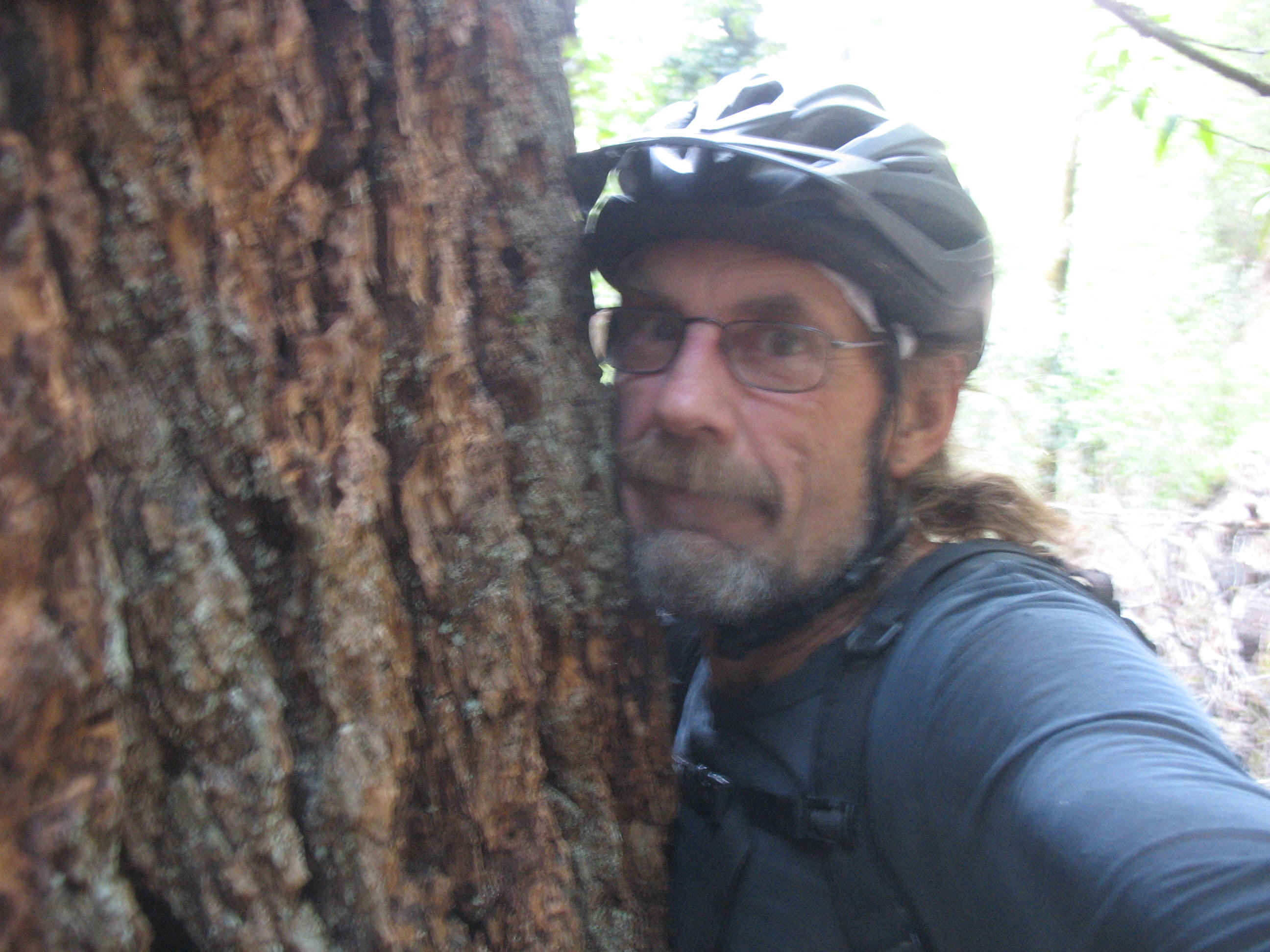 Deep Issue Massage 043.jpg (566245 bytes)