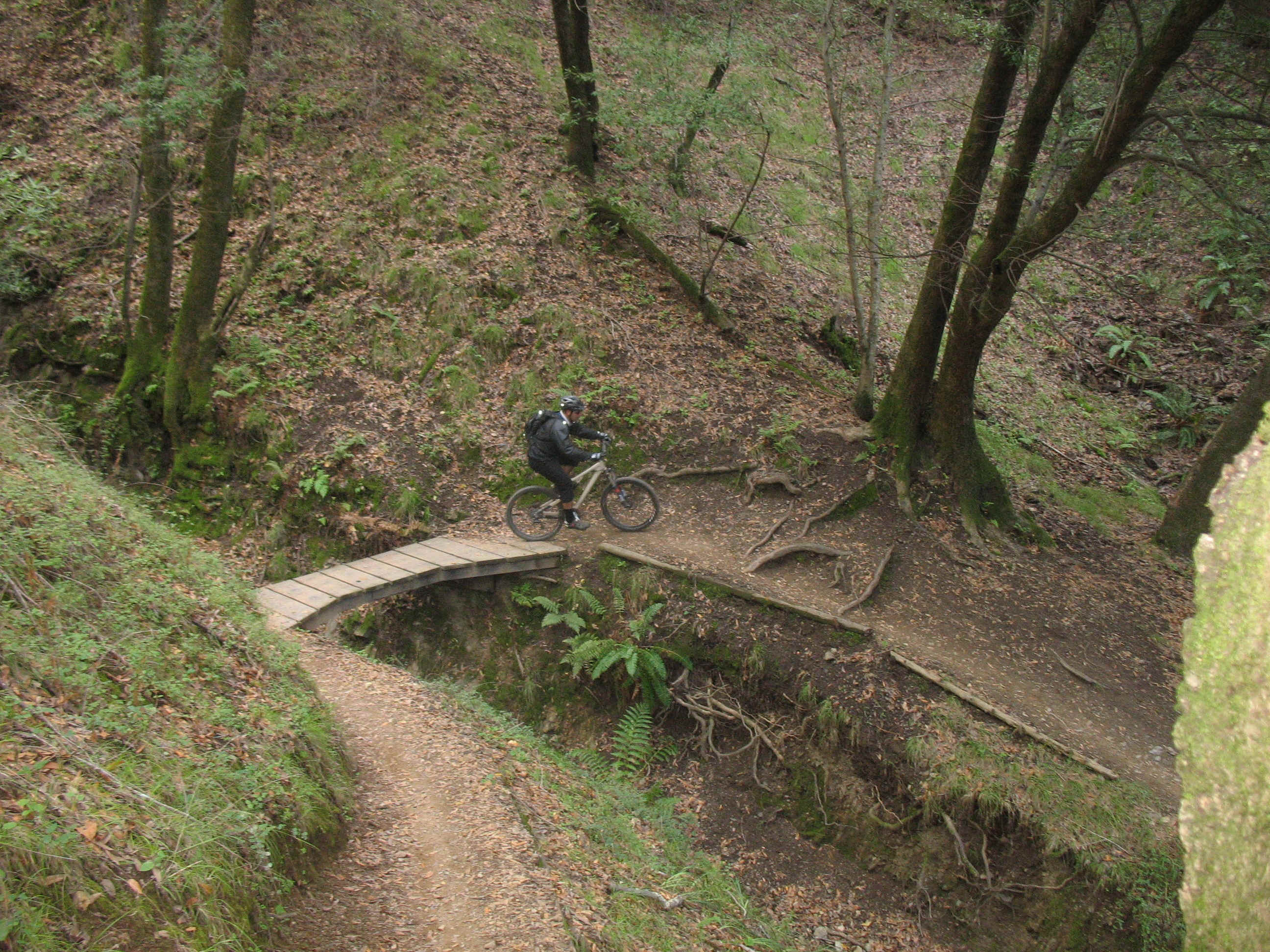 FBY01.JPG (2398832 bytes)