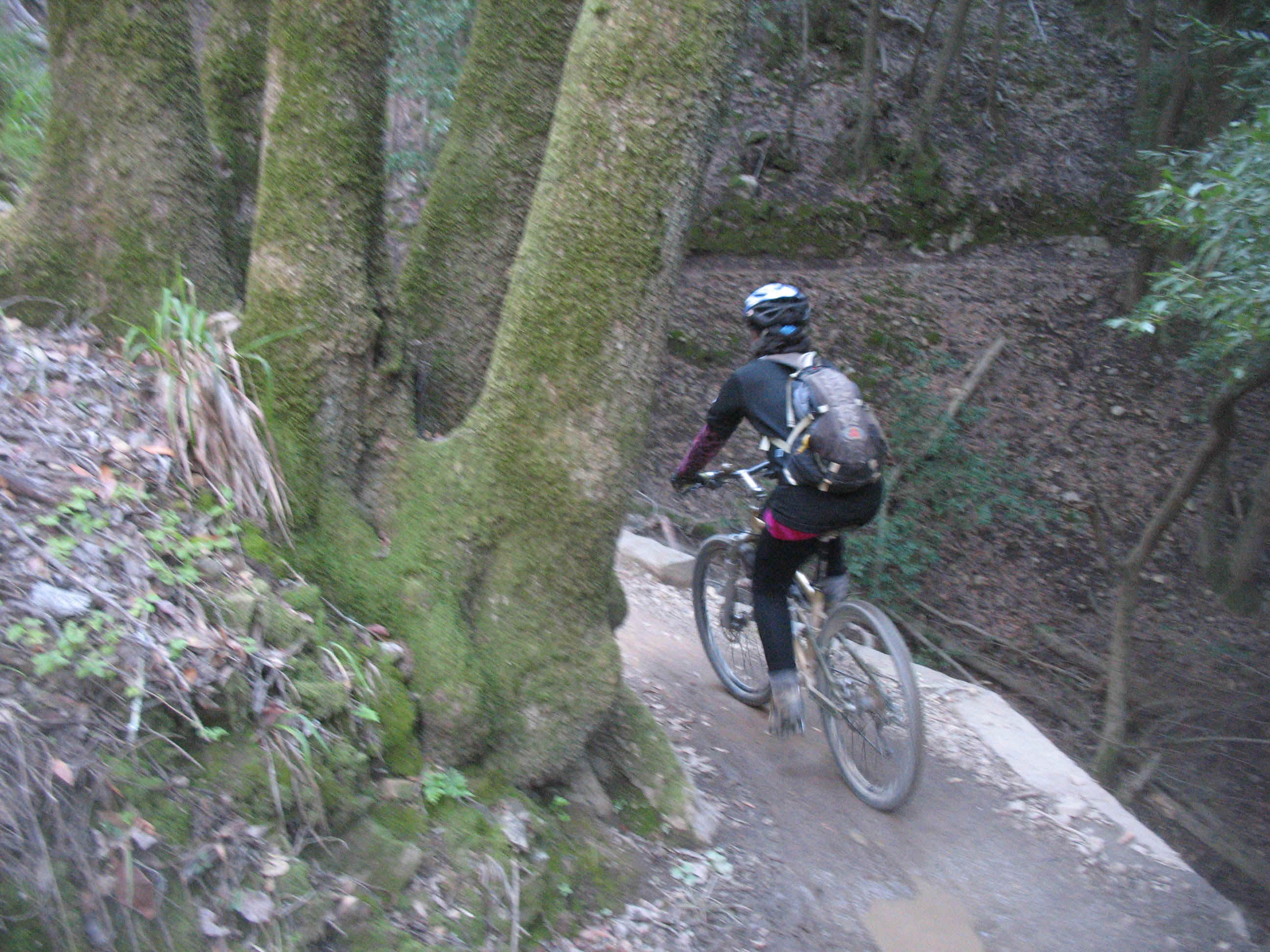 FBY35.JPG (924276 bytes)