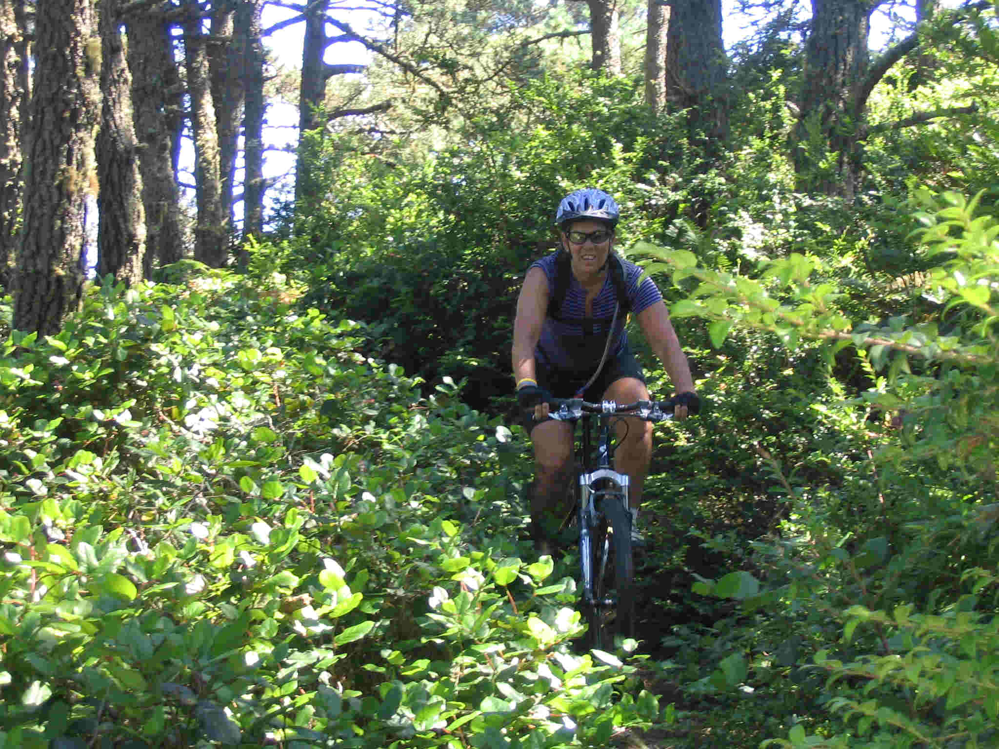 FSA Heidi on trail.jpg (213937 bytes)