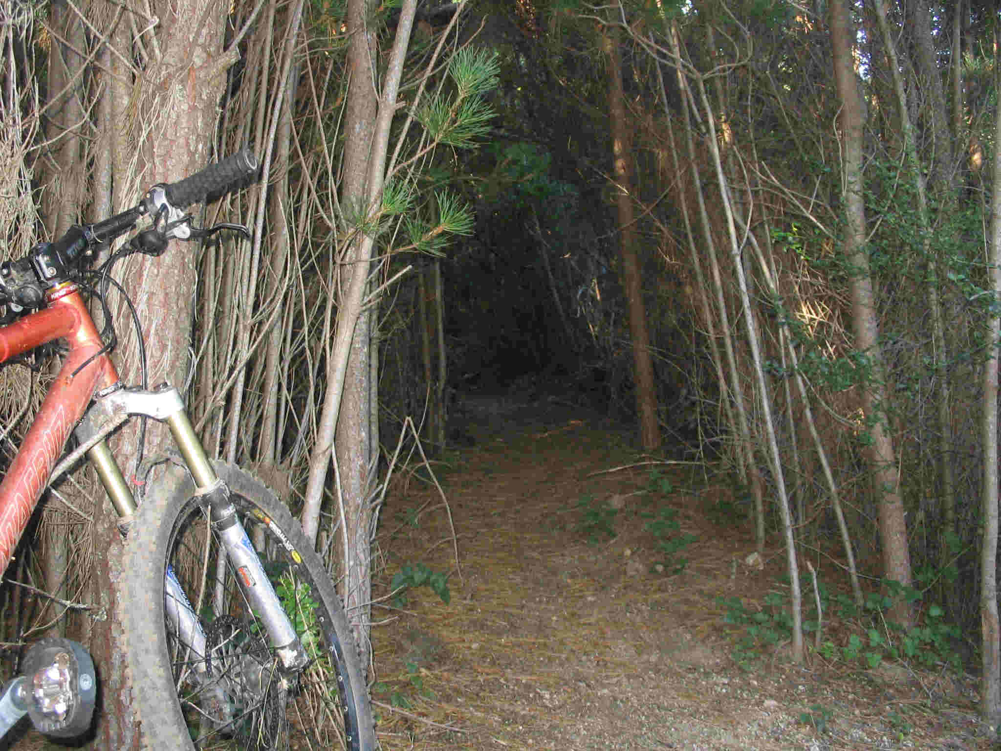 magic trail .com magic trail .com