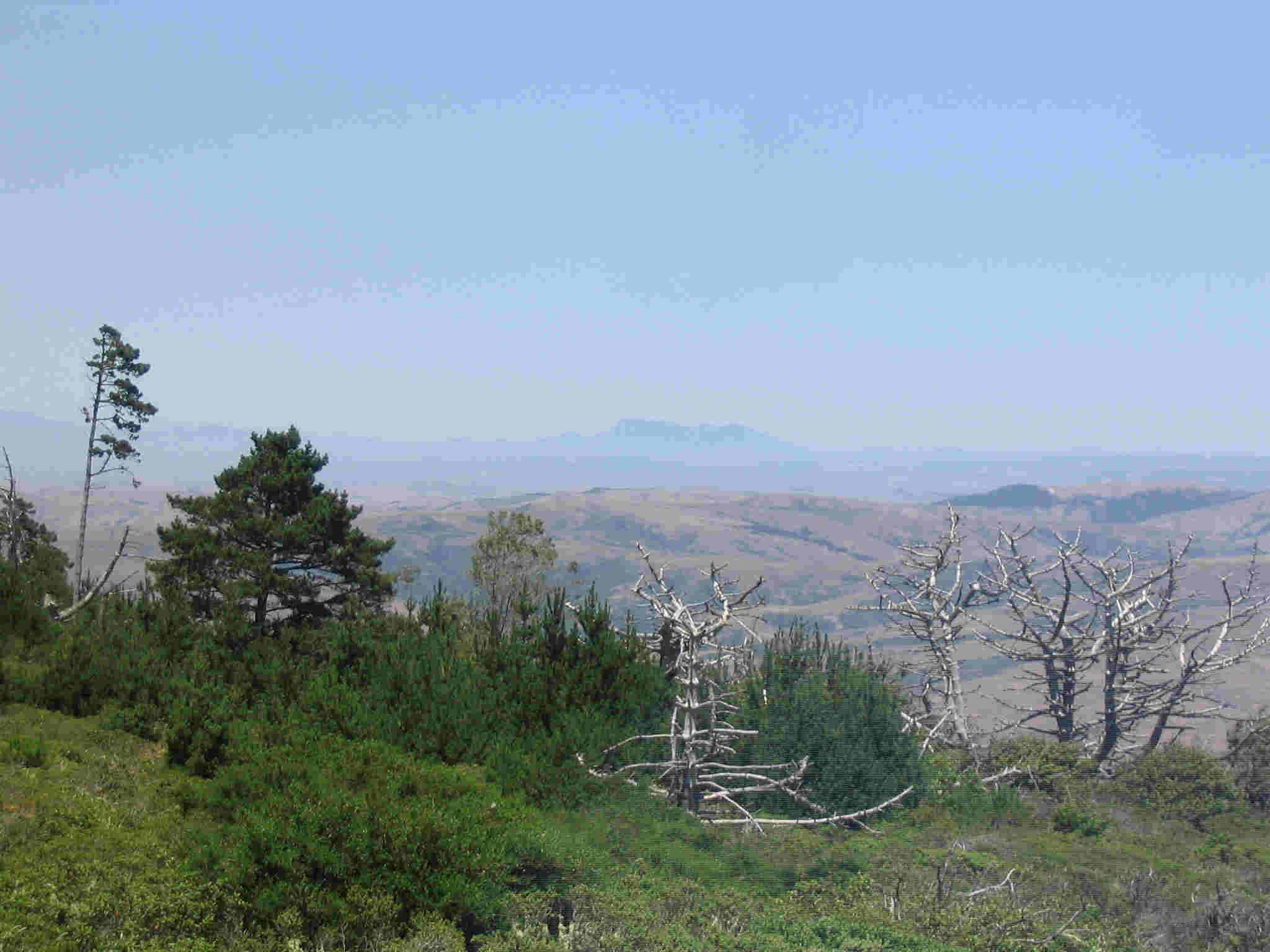 FSA Mt. SH.jpg (134820 bytes)