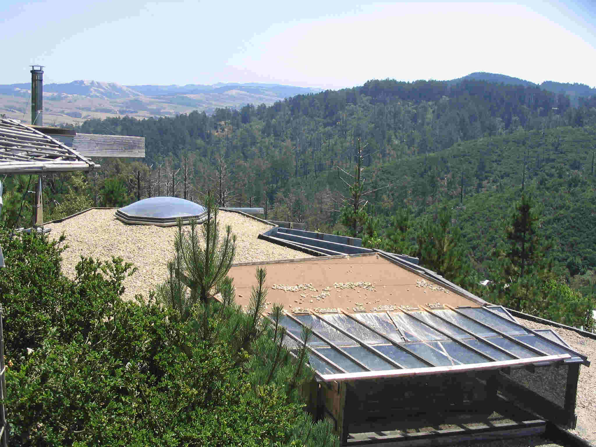 FSA Sandy's.jpg (182606 bytes)