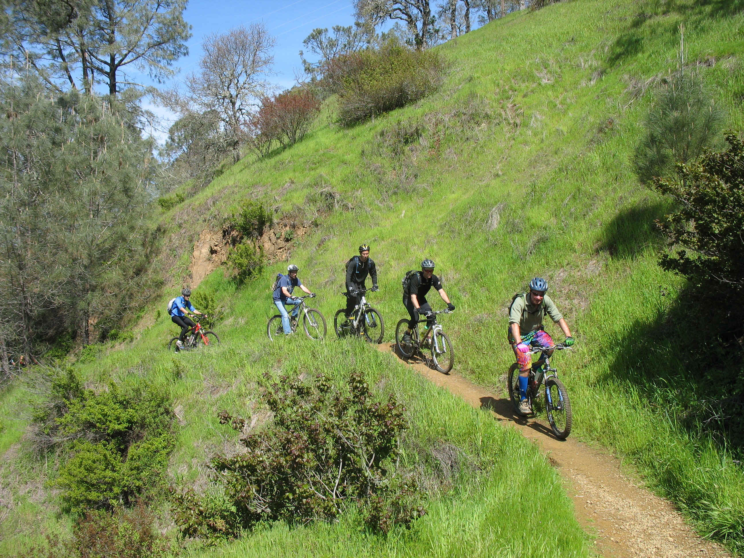 FWGS1338.jpg (2015484 bytes)