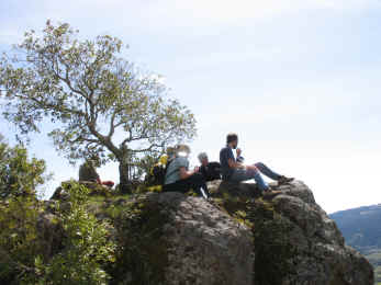 FWGS1345.jpg (1004447 bytes)