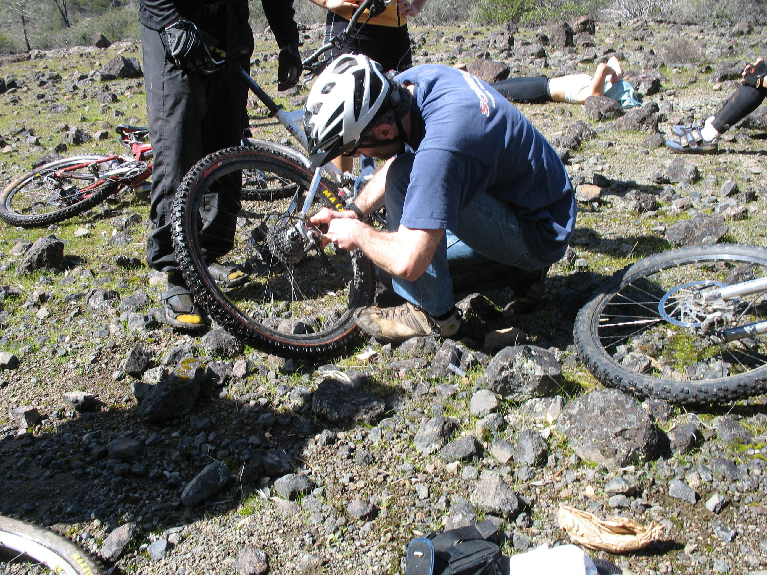 FWGS1361.jpg (1614776 bytes)