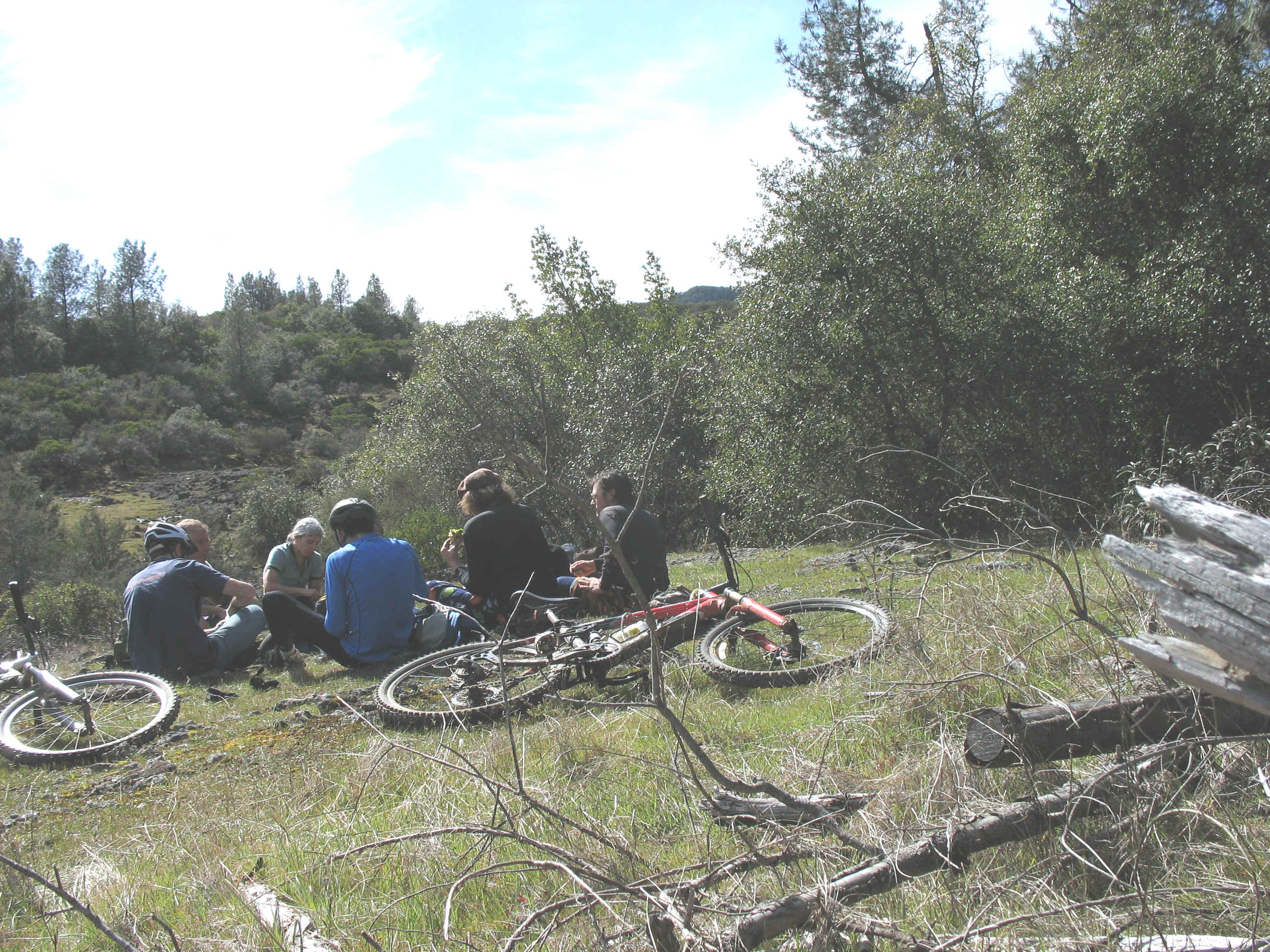 FWGS1364.jpg (1636376 bytes)