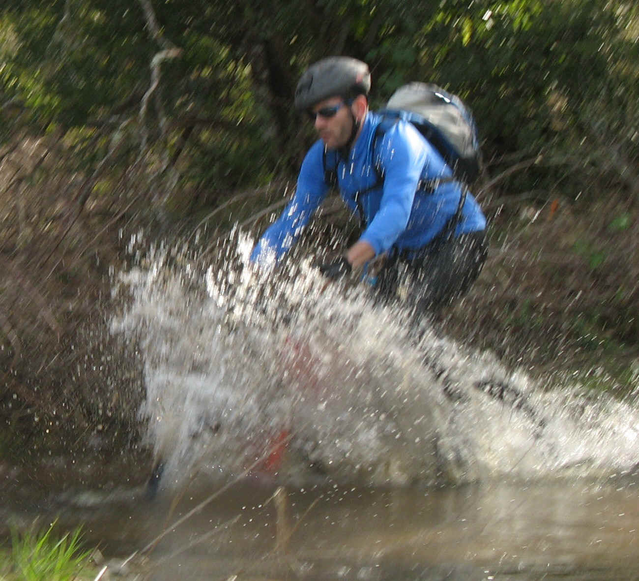 FWGS1378.jpg (1138037 bytes)