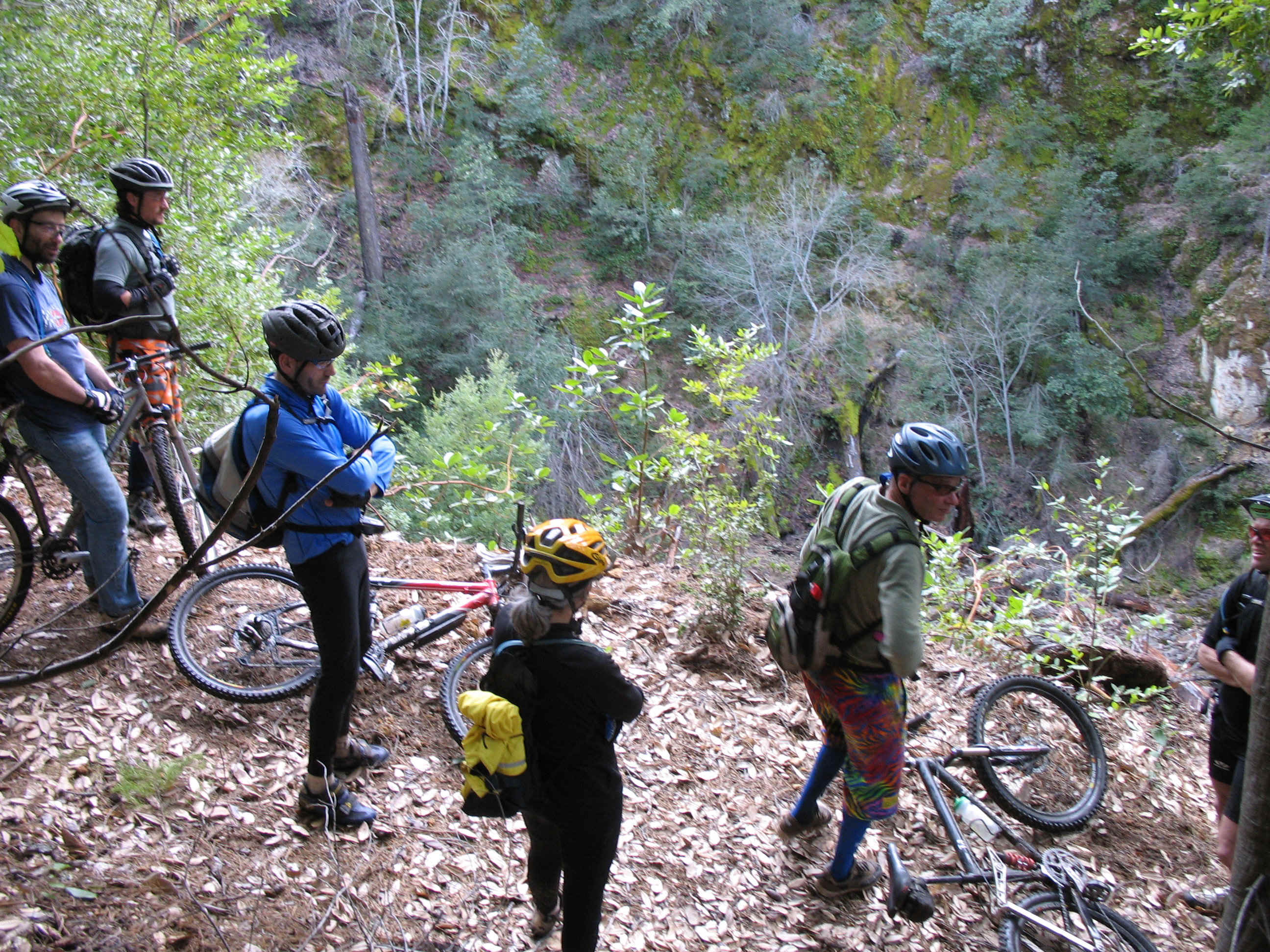 FWGS1381.jpg (1663937 bytes)