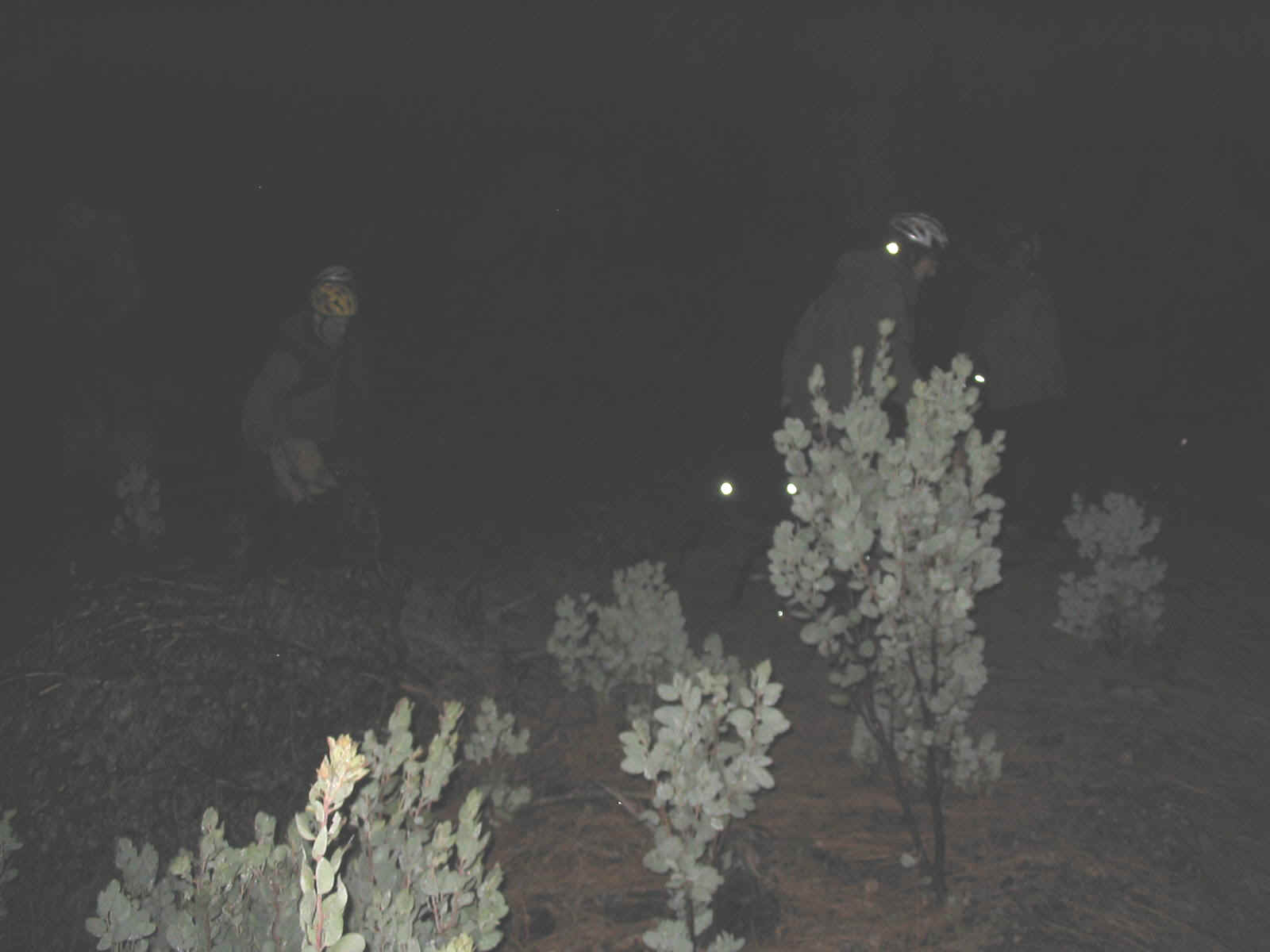 Feb moon 007.jpg (105832 bytes)