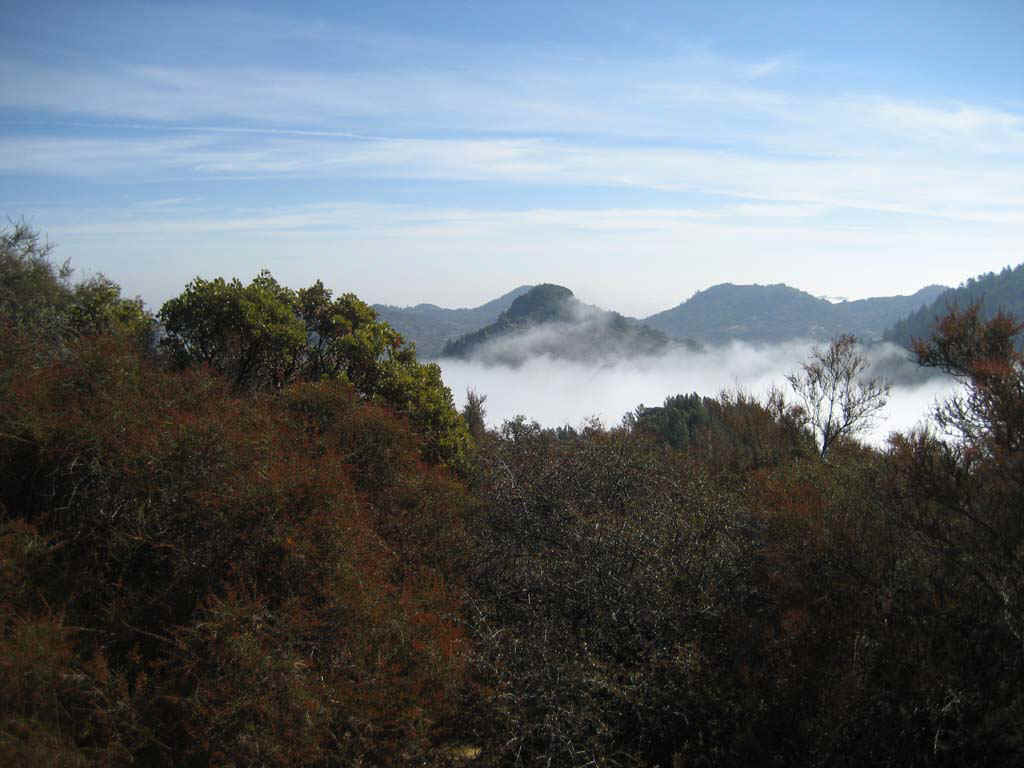 FogInRLS.jpg (103153 bytes)