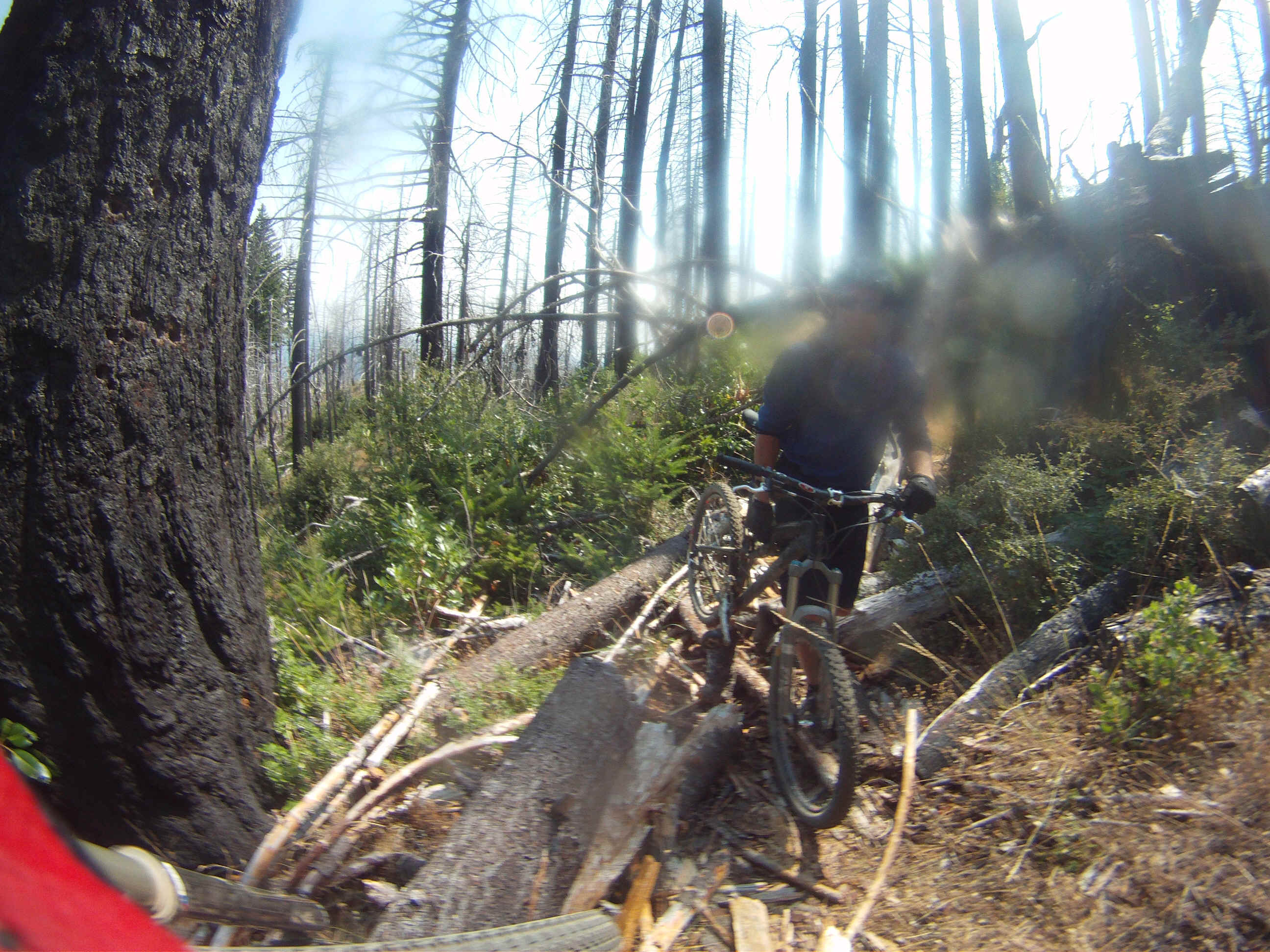 GOPR2215.JPG (2495778 bytes)