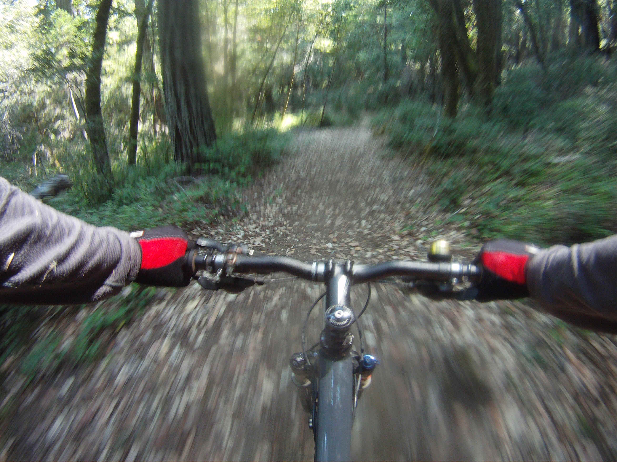 GOPR2233.JPG (2433297 bytes)