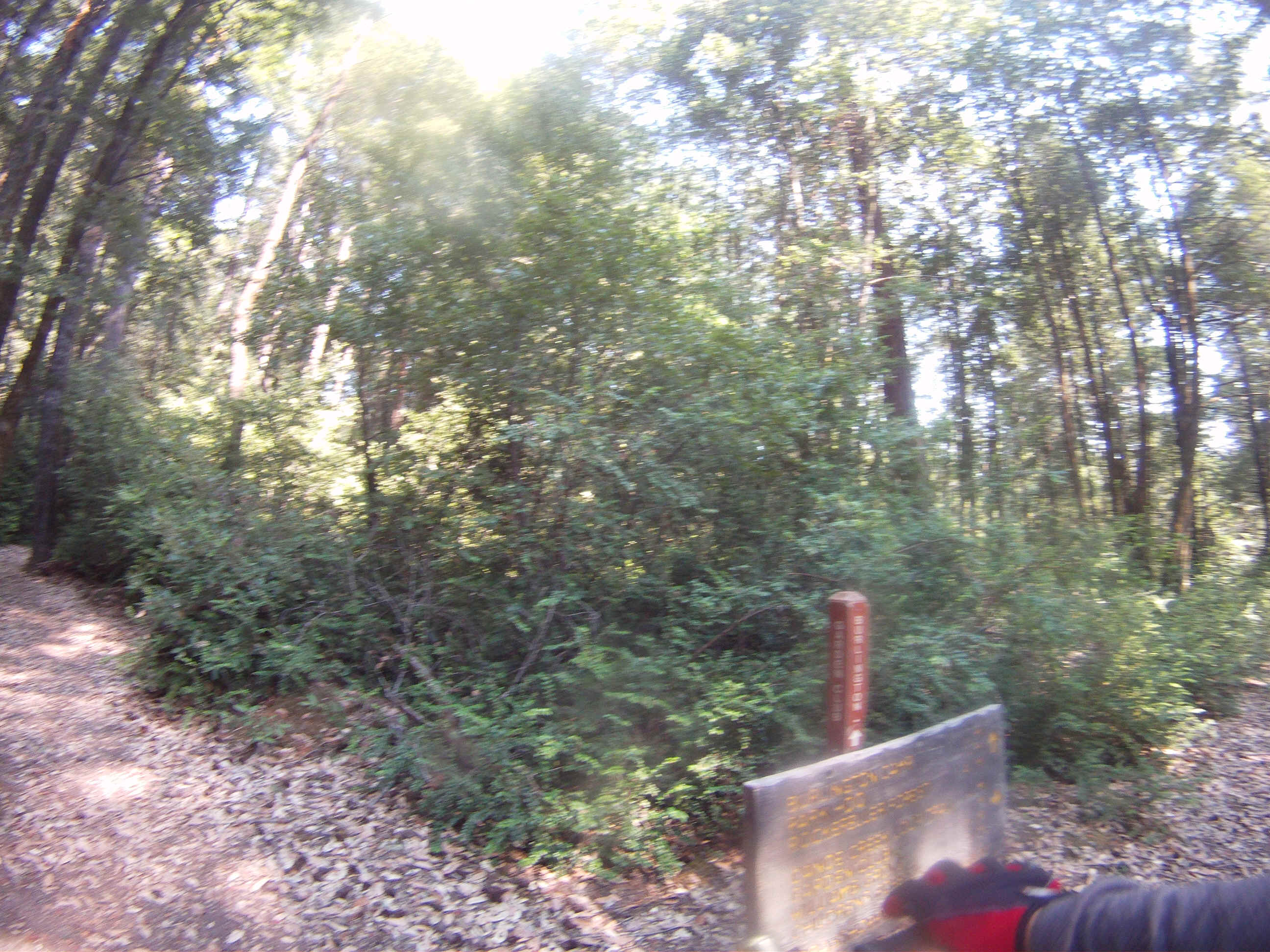 GOPR2253.JPG (2698124 bytes)