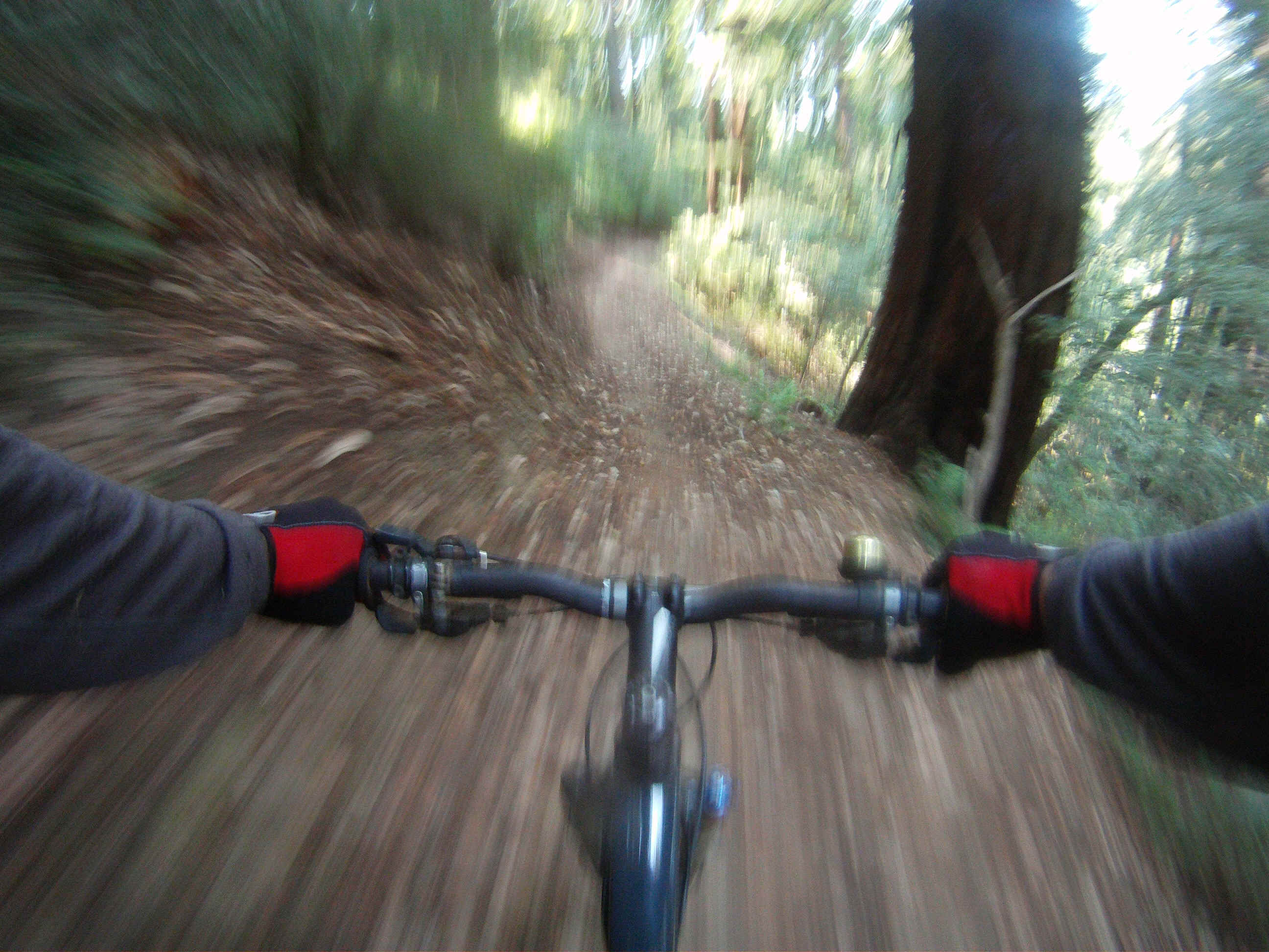 GOPR2265.JPG (2395327 bytes)