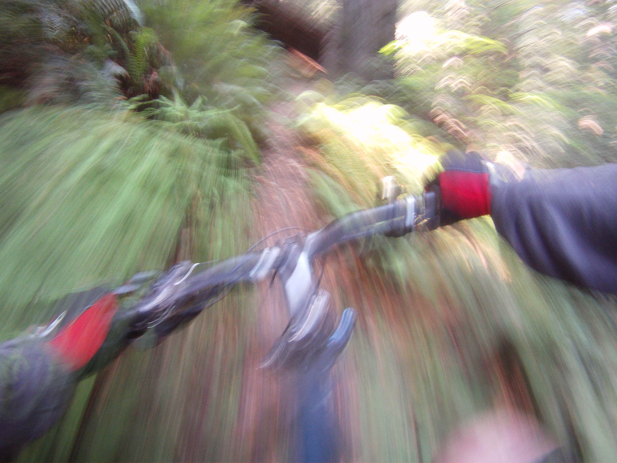 GOPR2320.JPG (2128519 bytes)