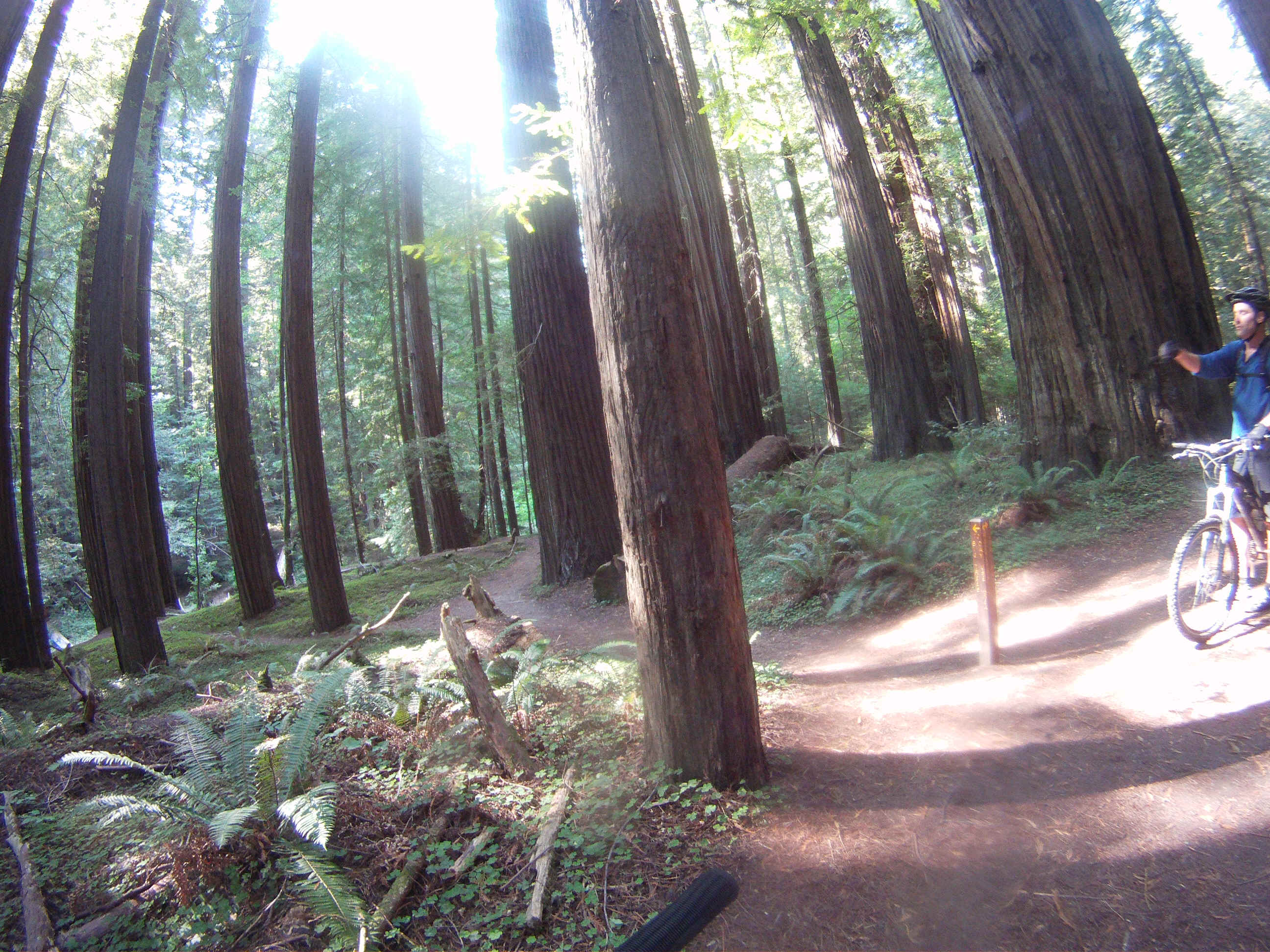 GOPR2345.JPG (2909159 bytes)