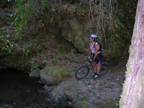 Heide Water II.jpg (26846 bytes)