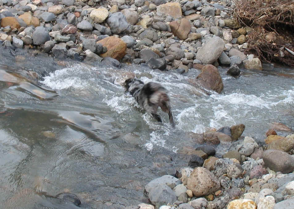 IMG_0256.JPG (1269942 bytes)