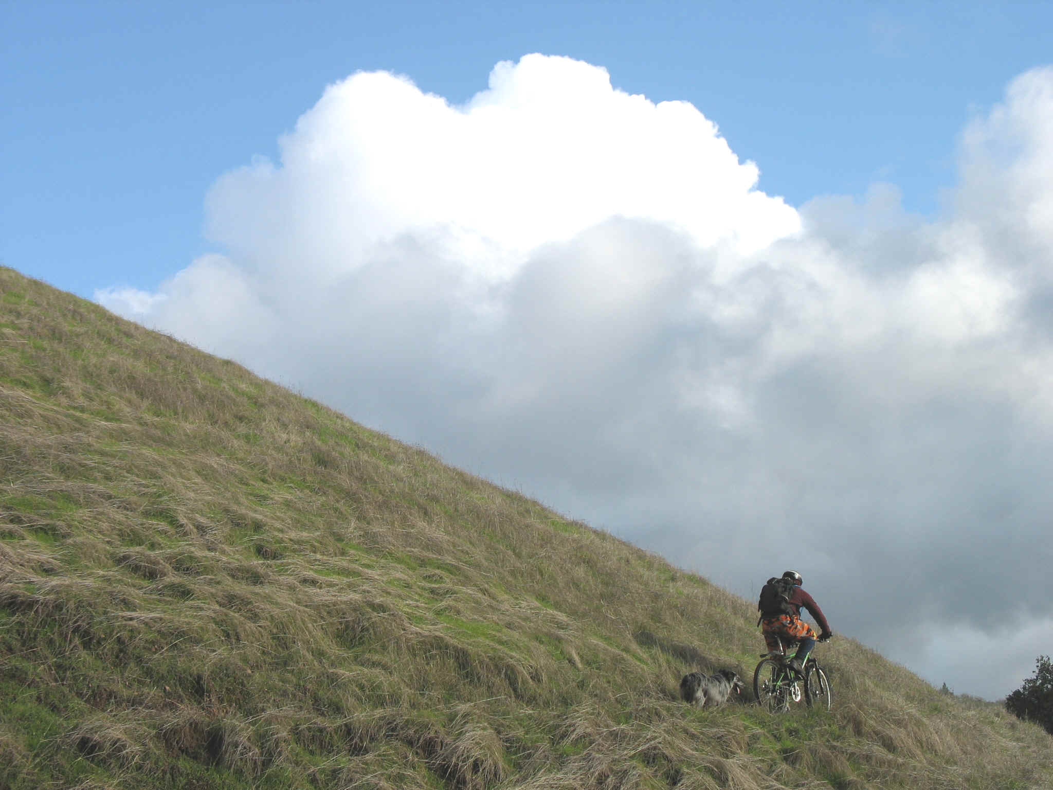 IMG_0271.JPG (785345 bytes)