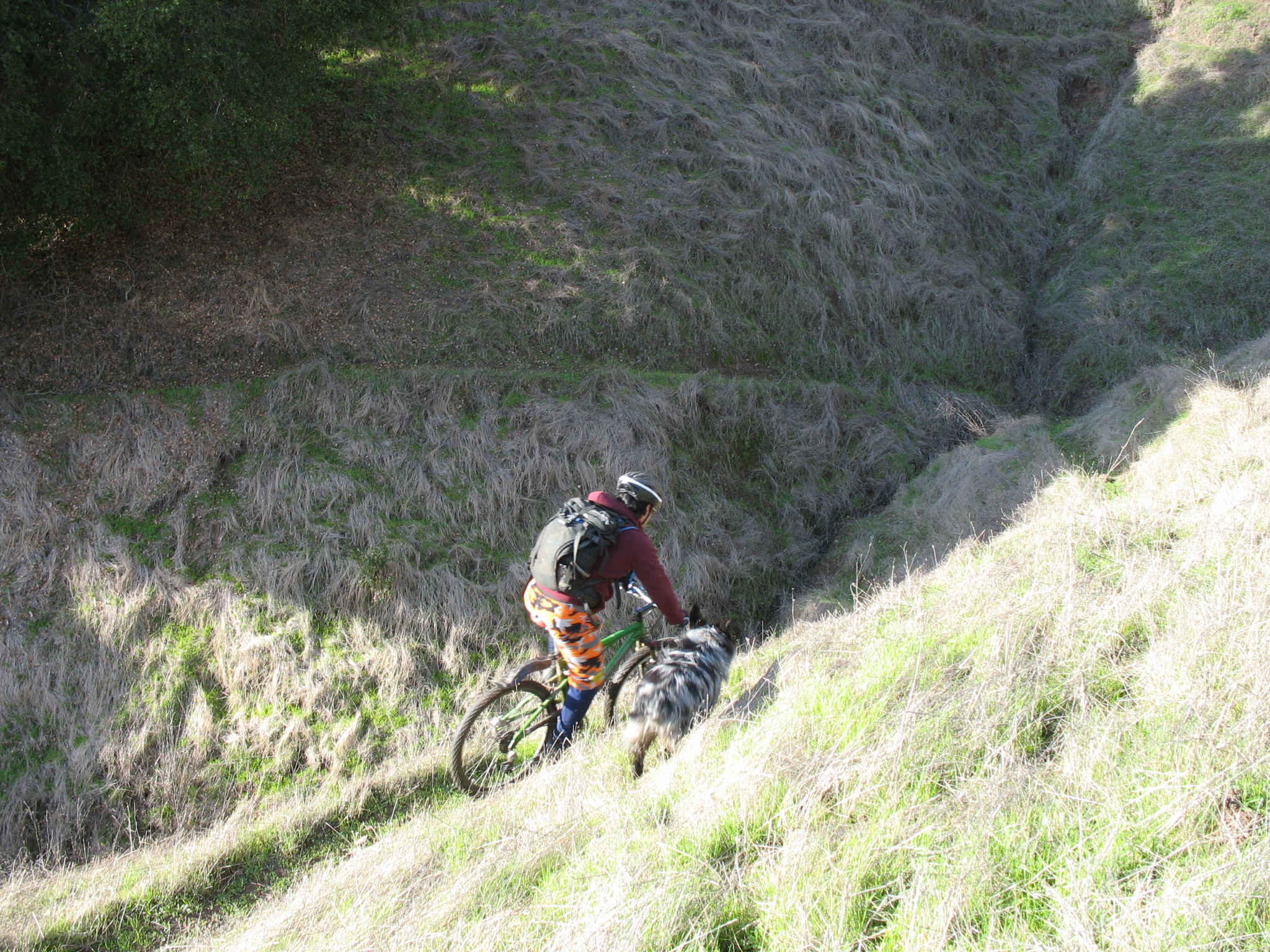 IMG_0283.JPG (1484353 bytes)