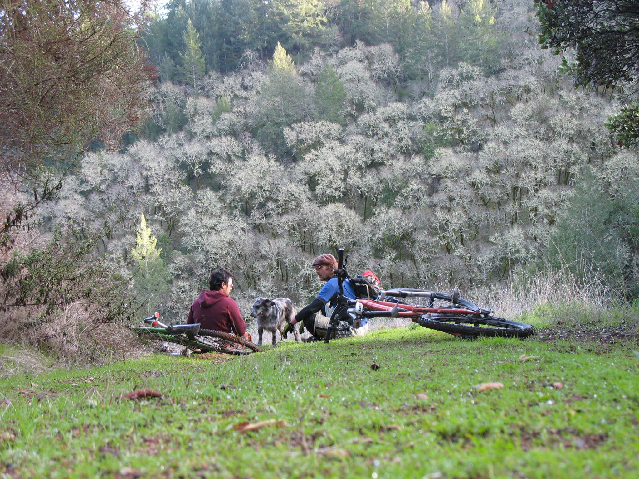 IMG_0296.JPG (1525787 bytes)