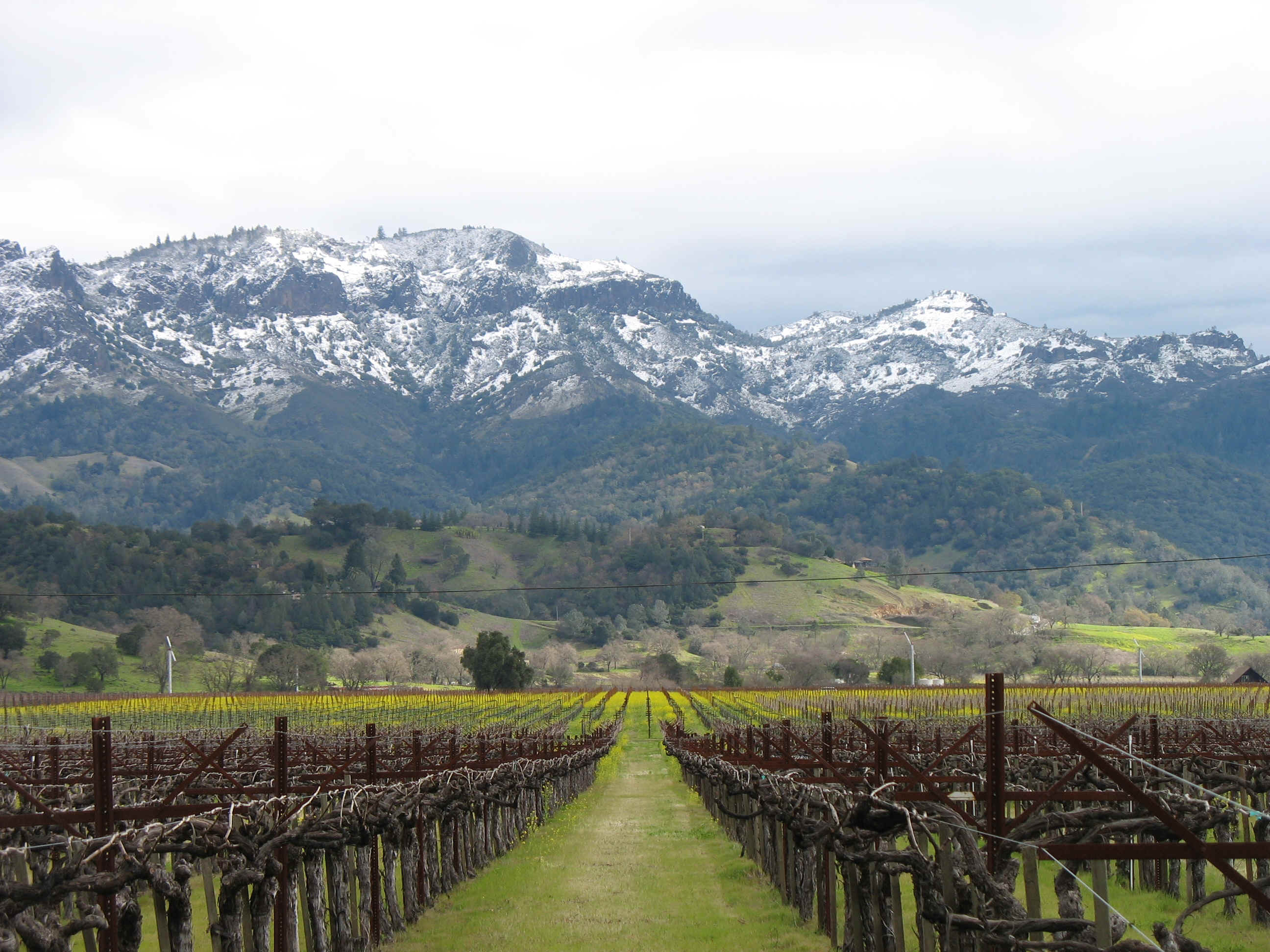 IMG_0980.JPG (1510071 bytes)