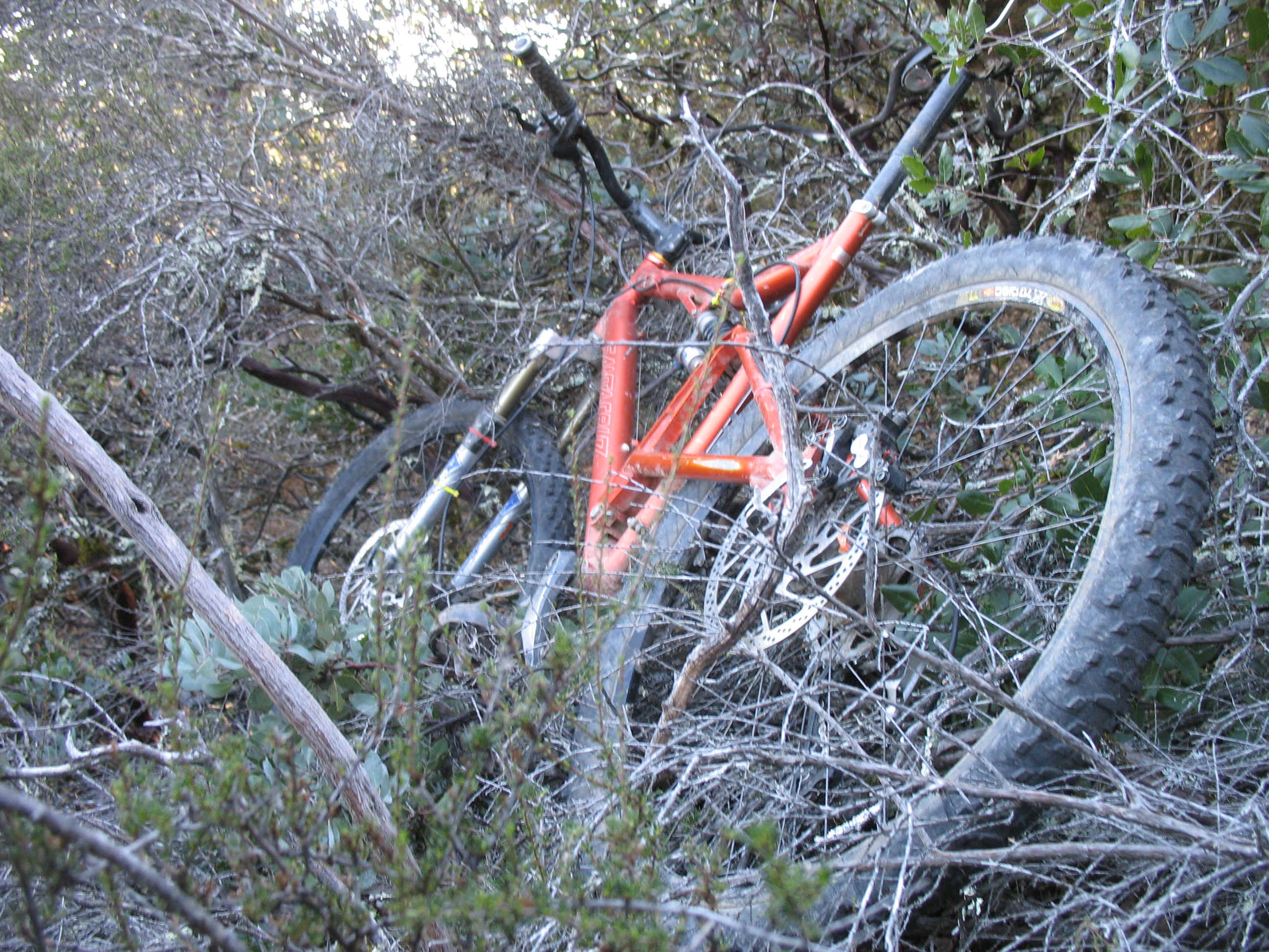 IMG_1050.JPG (2024010 bytes)