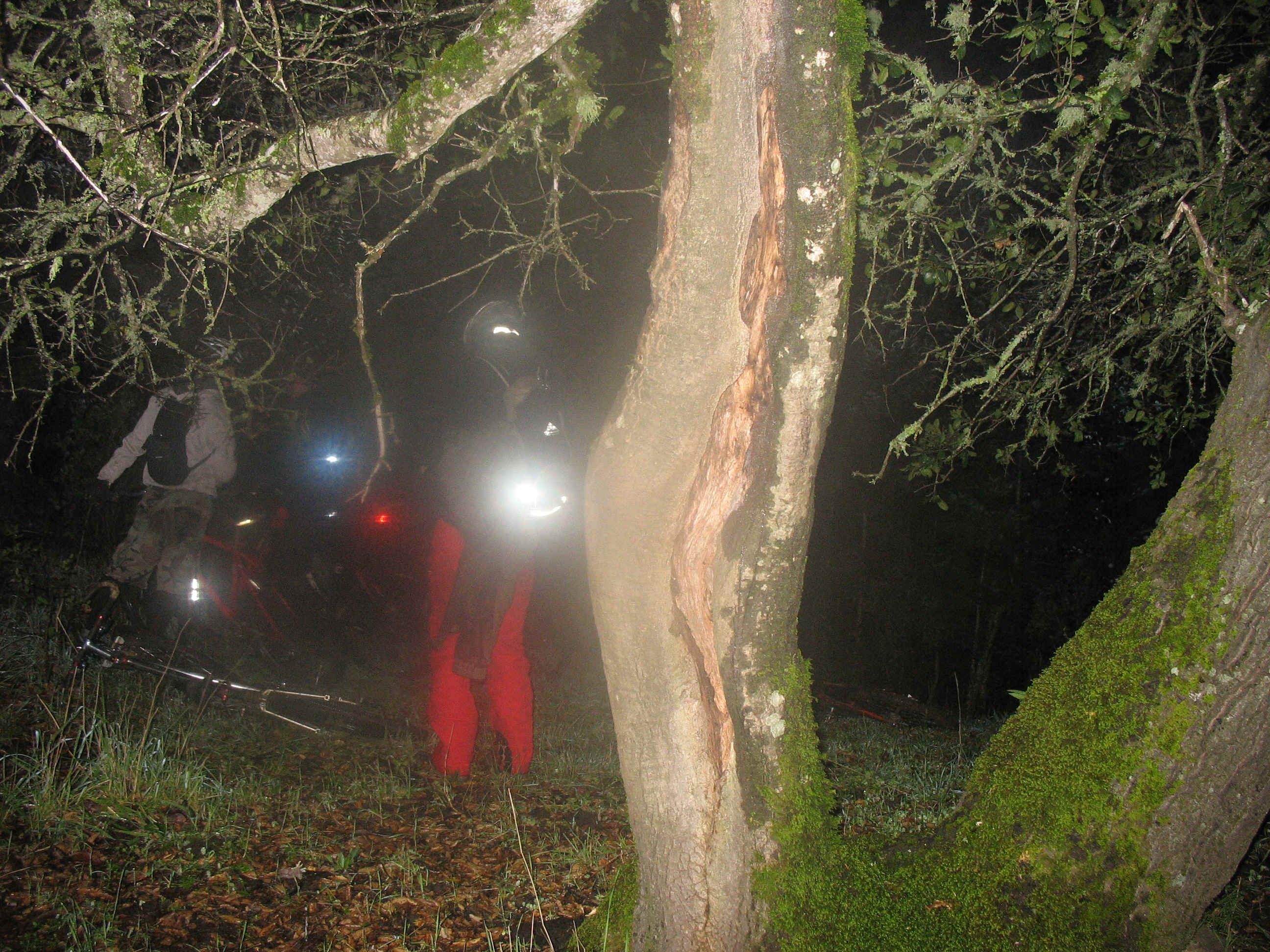 IMG_1188.JPG (2160546 bytes)