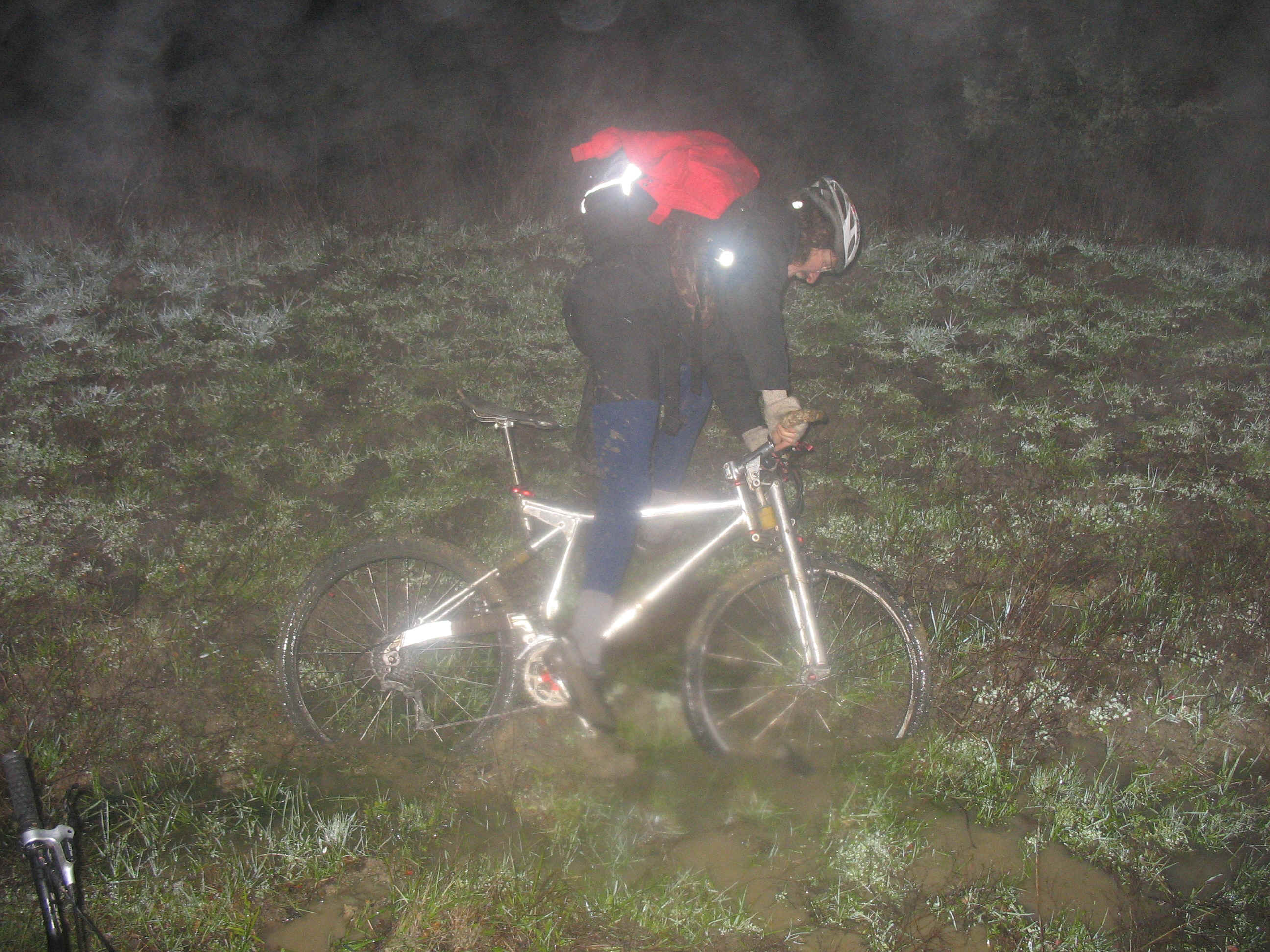 IMG_1191.JPG (1948622 bytes)