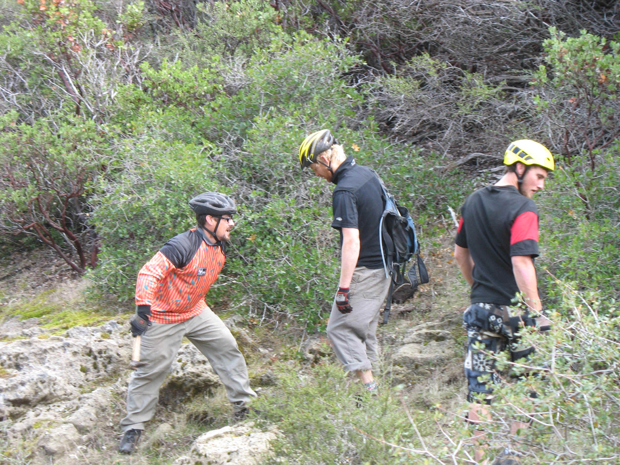 IMG_2923.JPG (1082456 bytes)