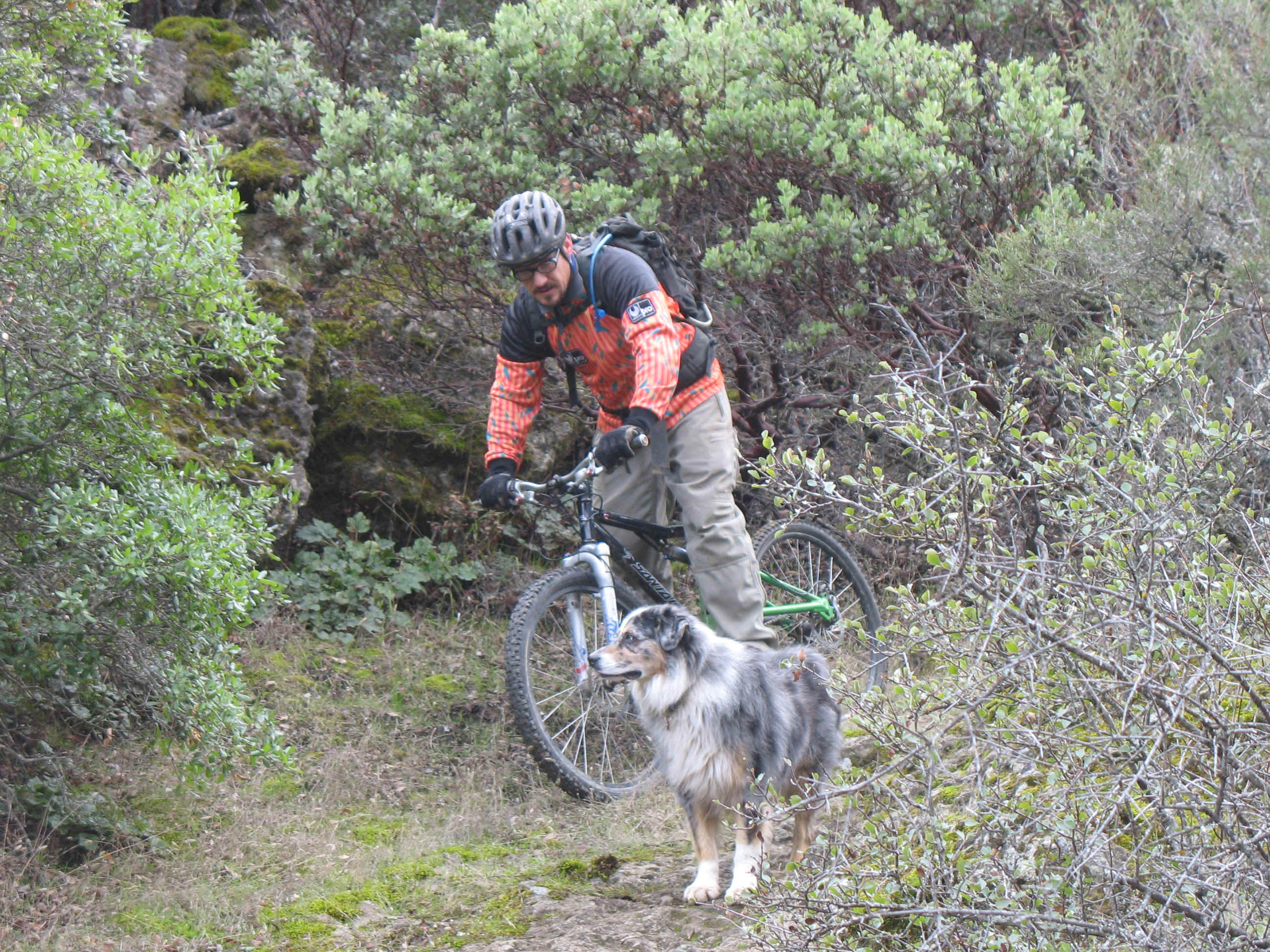 IMG_2934.JPG (1188353 bytes)